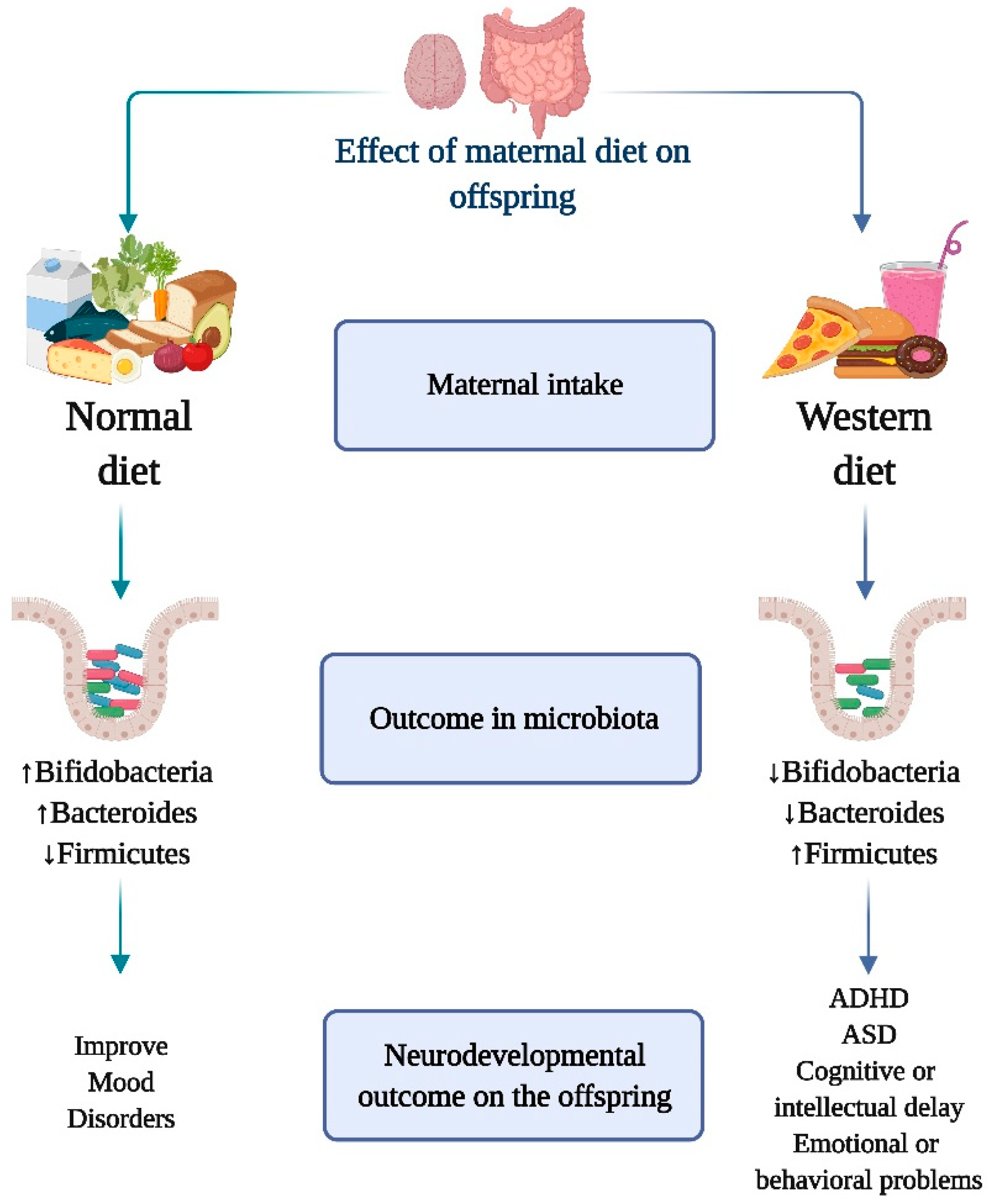 Nutrients 13 03533 g002 Nutrients 13 03533 g002