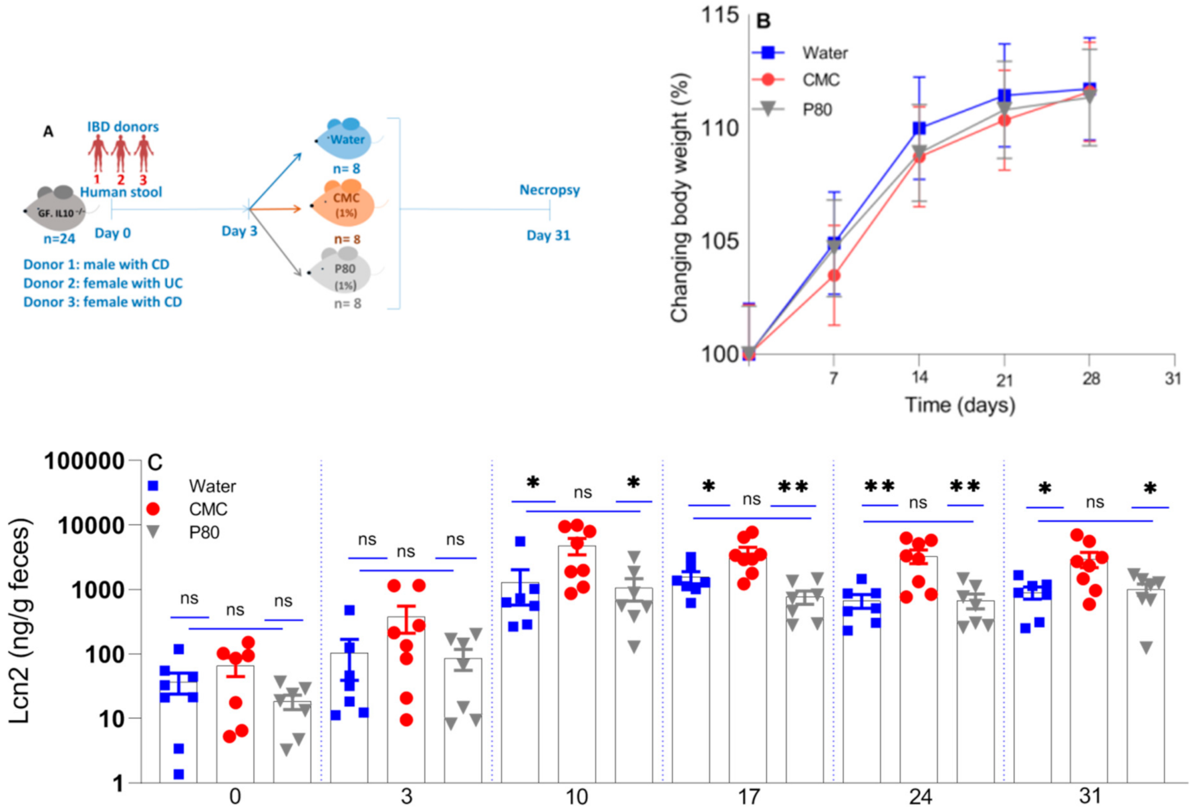 Nutrients 13 03565 g001