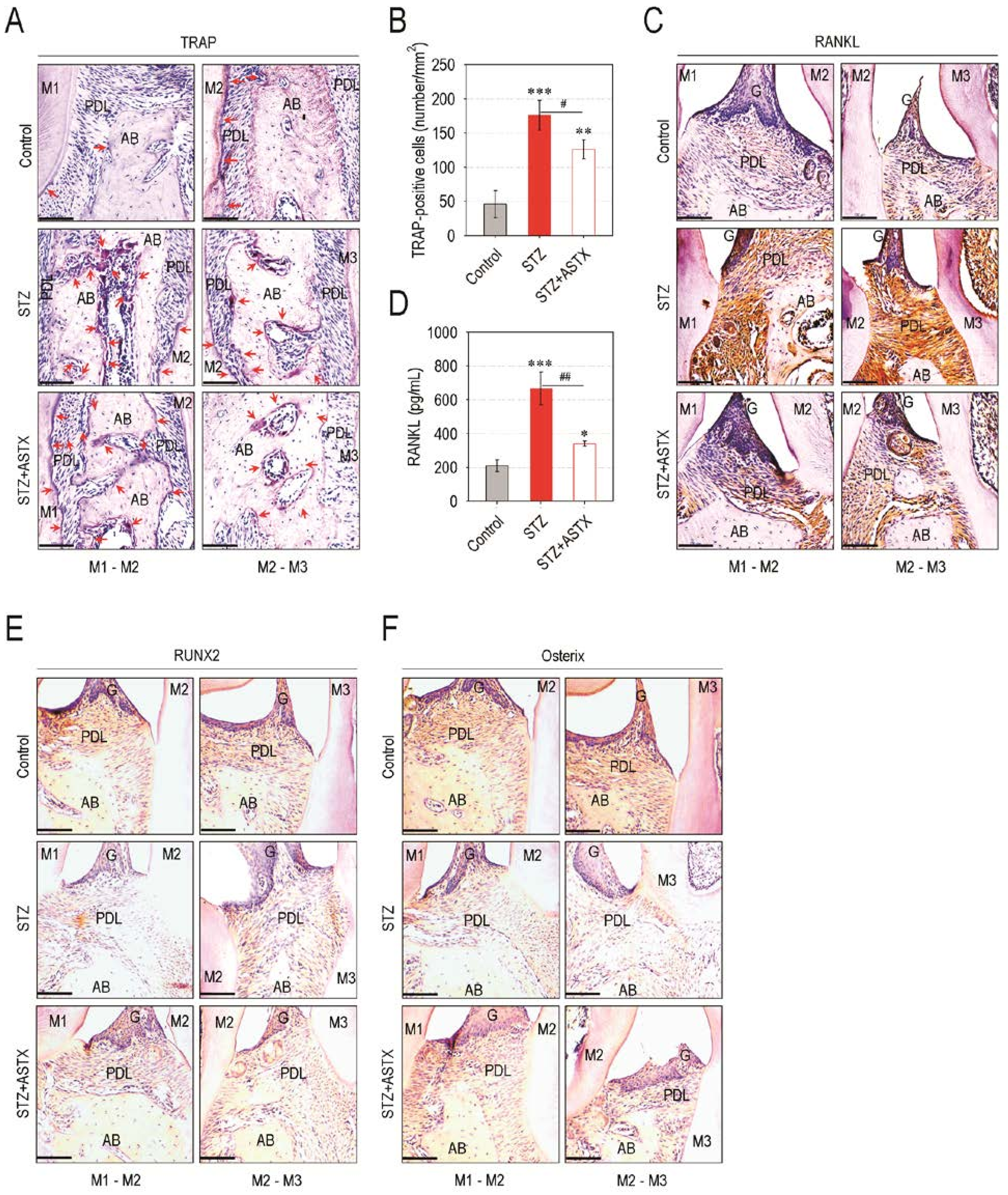 Nutrients 13 03575 g004 Nutrients 13 03575 g004