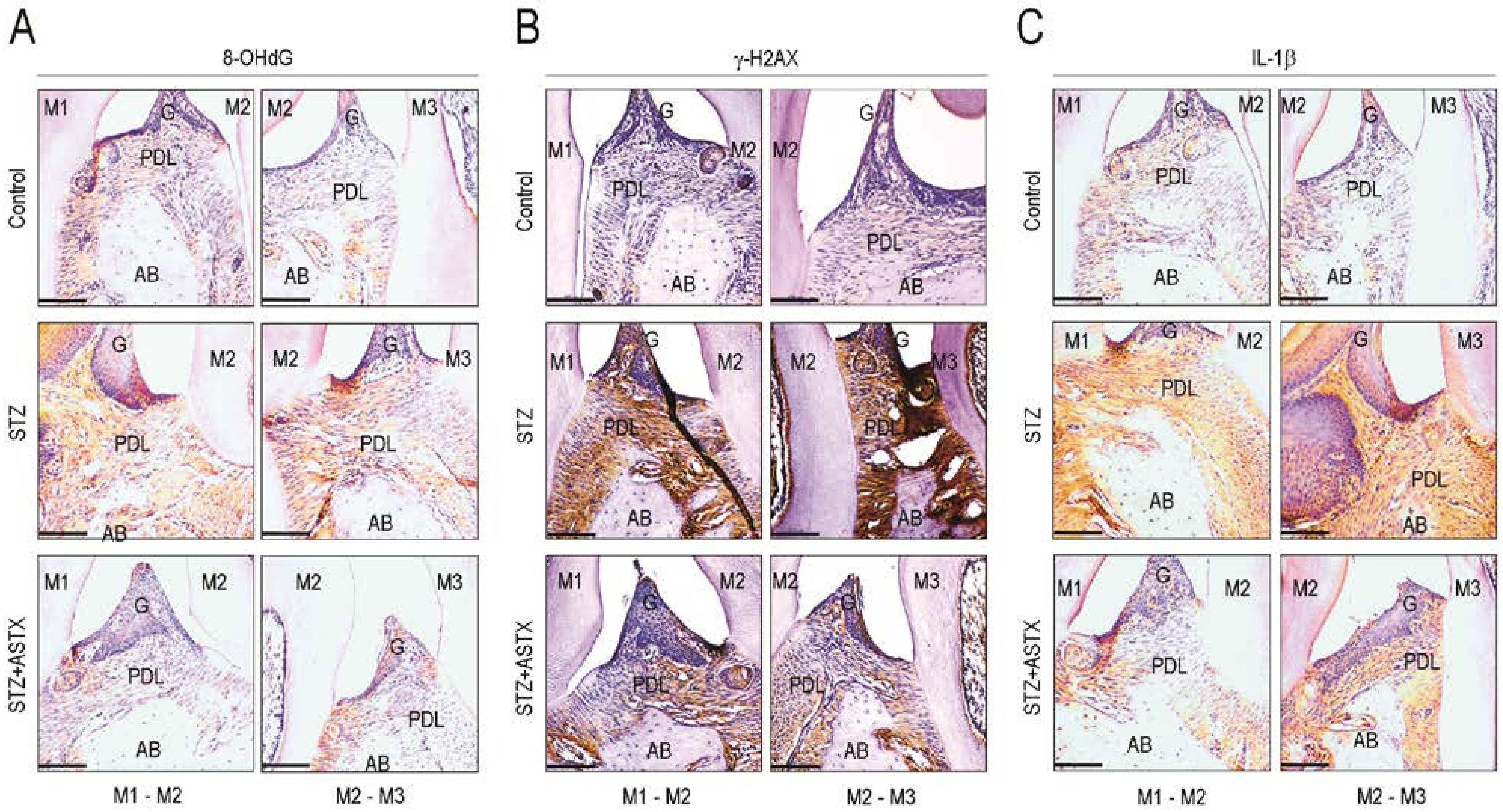 Nutrients 13 03575 g005 Nutrients 13 03575 g005
