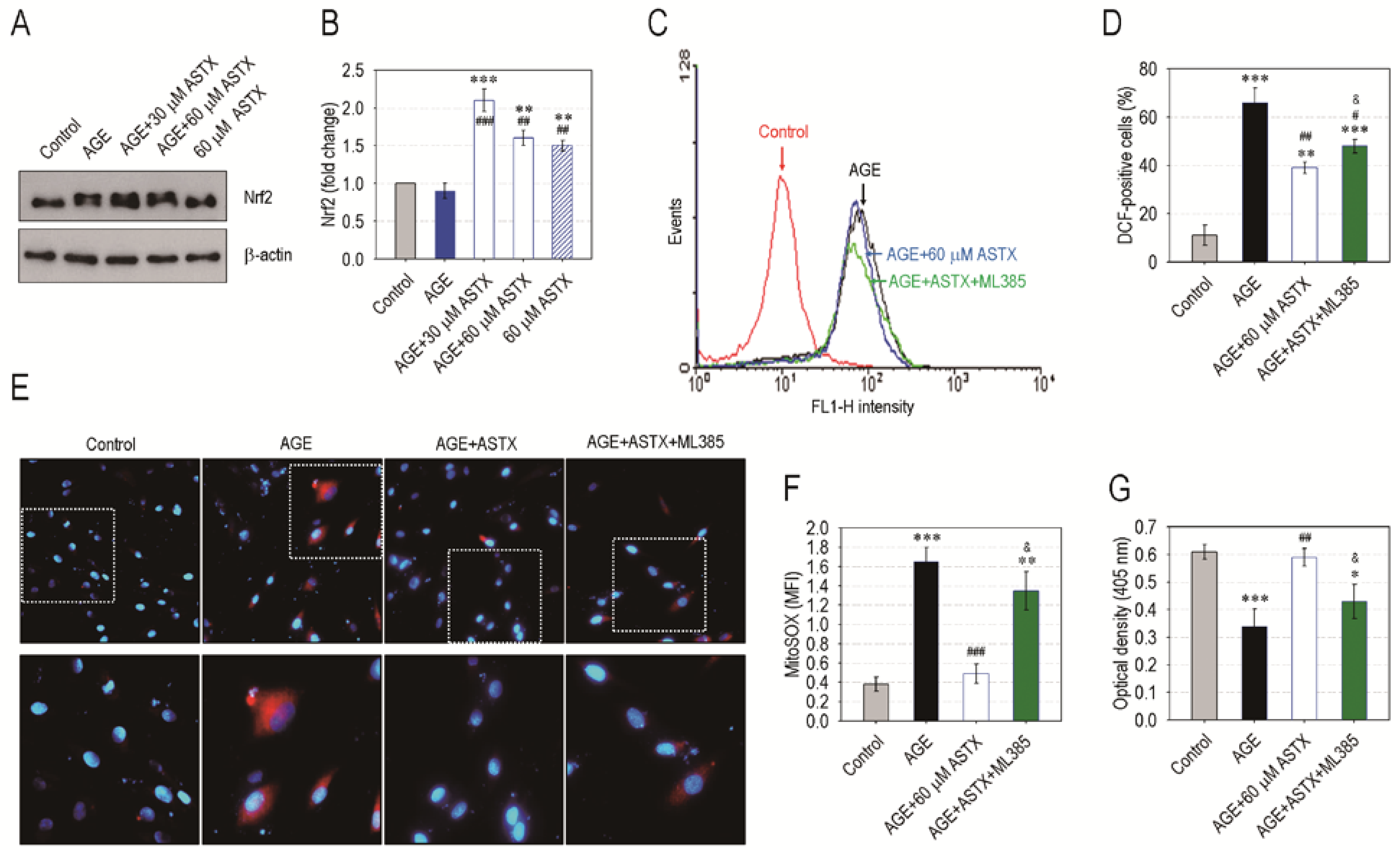 Nutrients 13 03575 g008 Nutrients 13 03575 g008