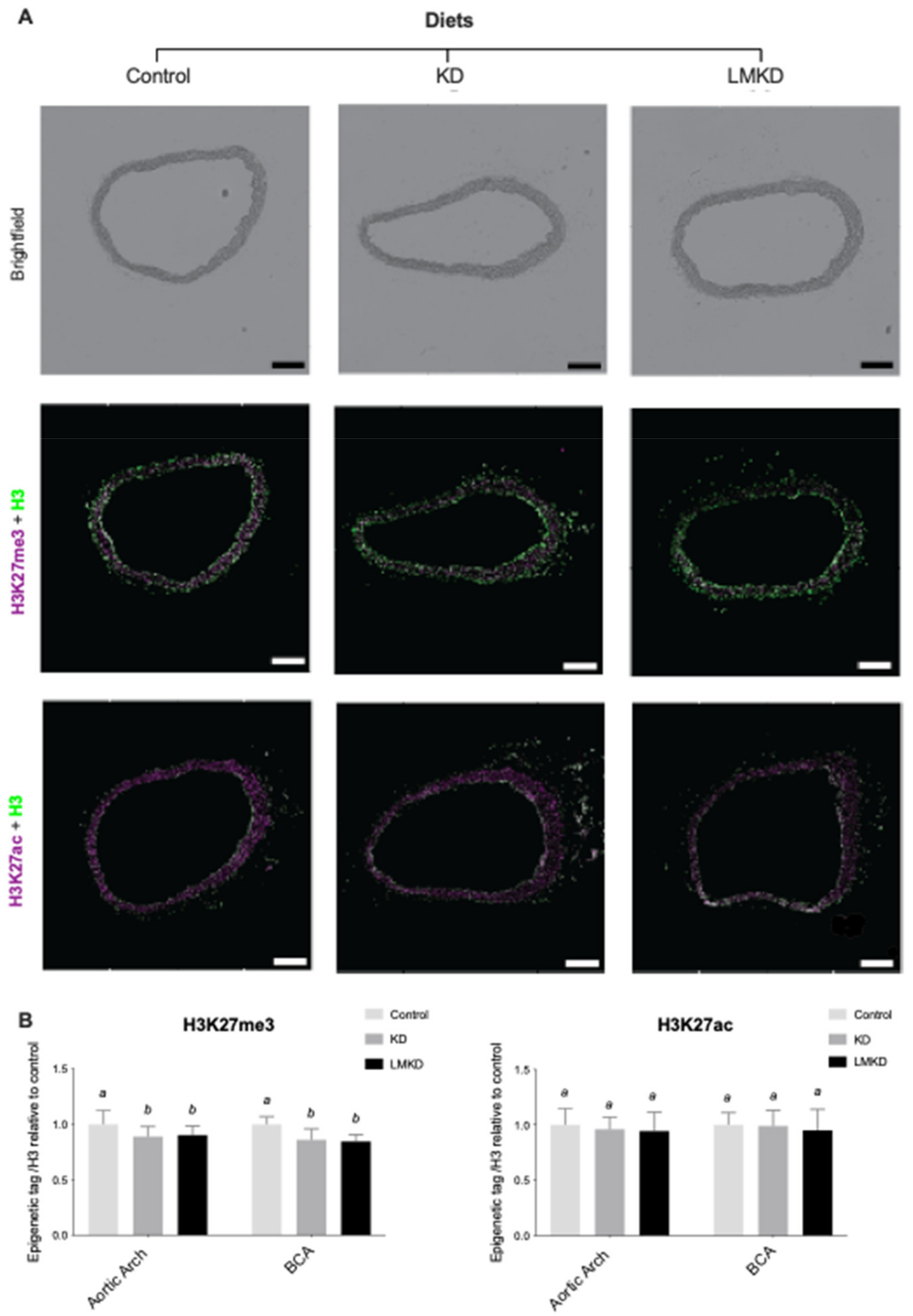 Nutrients 13 03576 g005 Nutrients 13 03576 g005