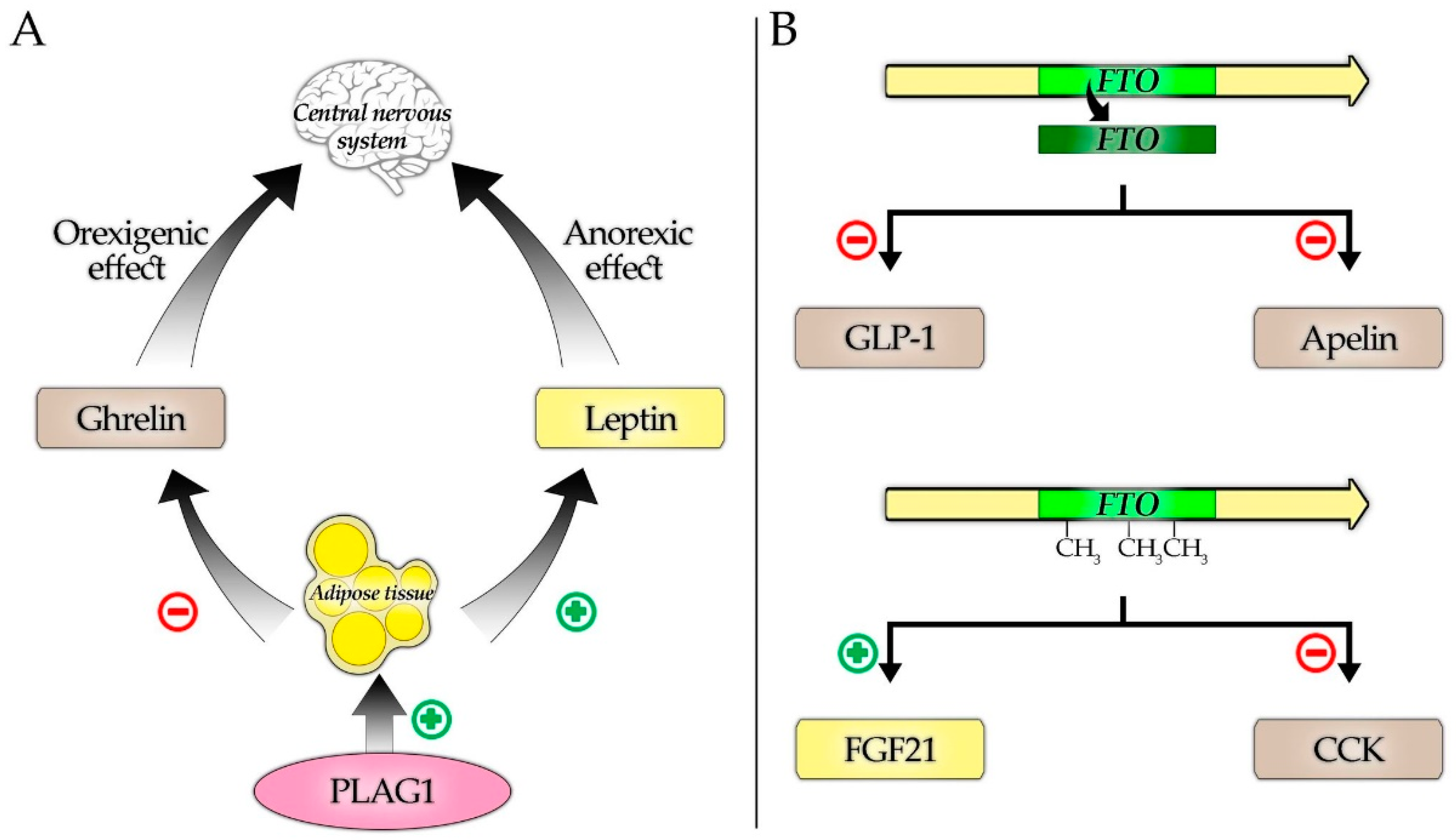 Nutrients 13 03585 g001 550