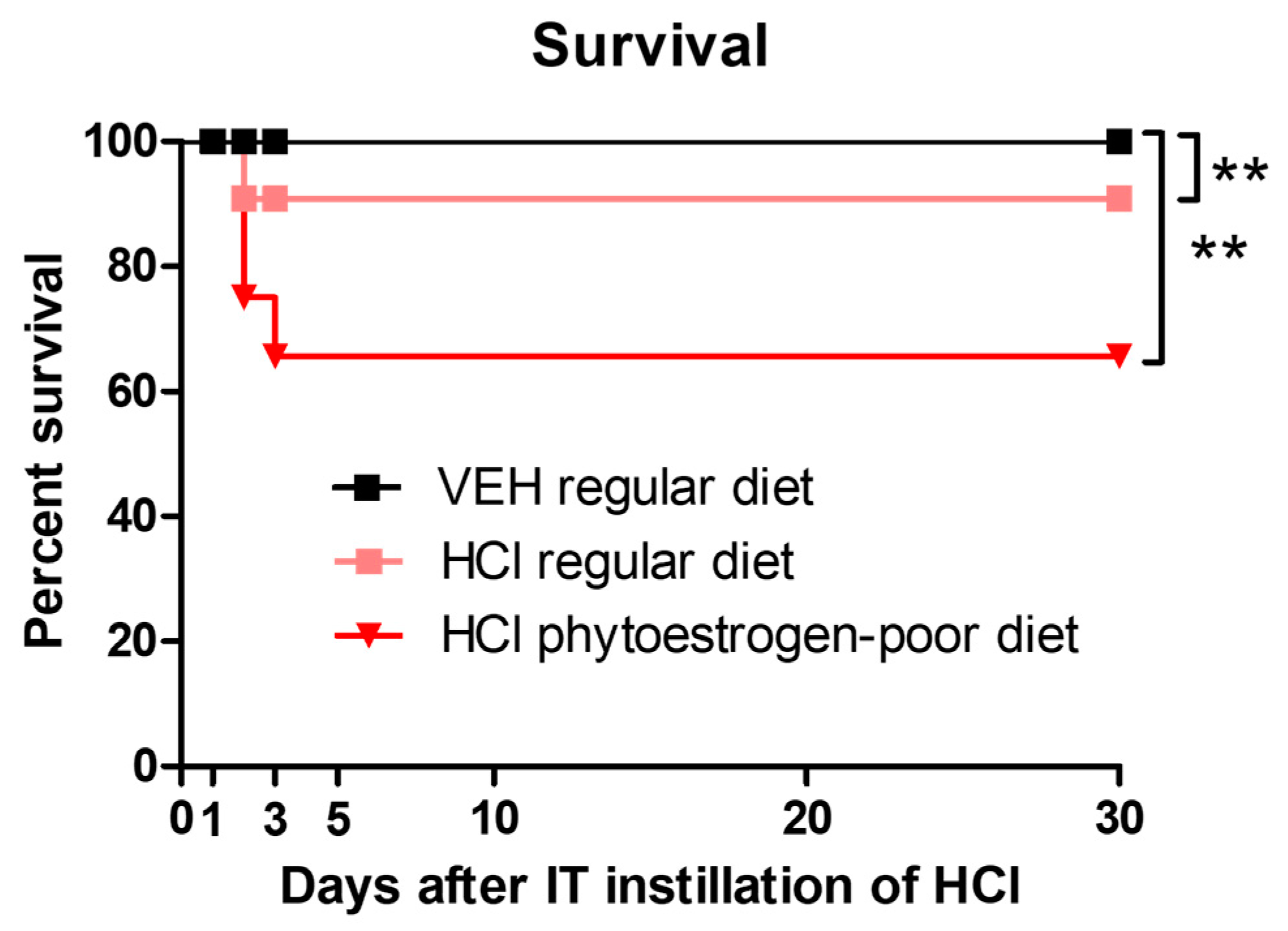 Nutrients 13 03599 g001 Nutrients 13 03599 g001