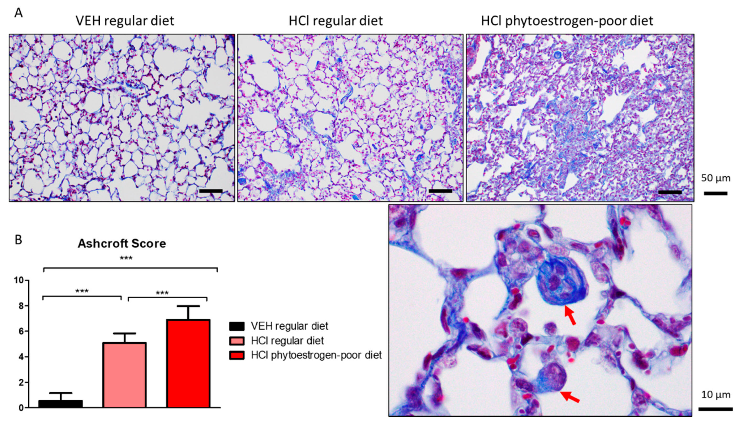 Nutrients 13 03599 g004 Nutrients 13 03599 g004