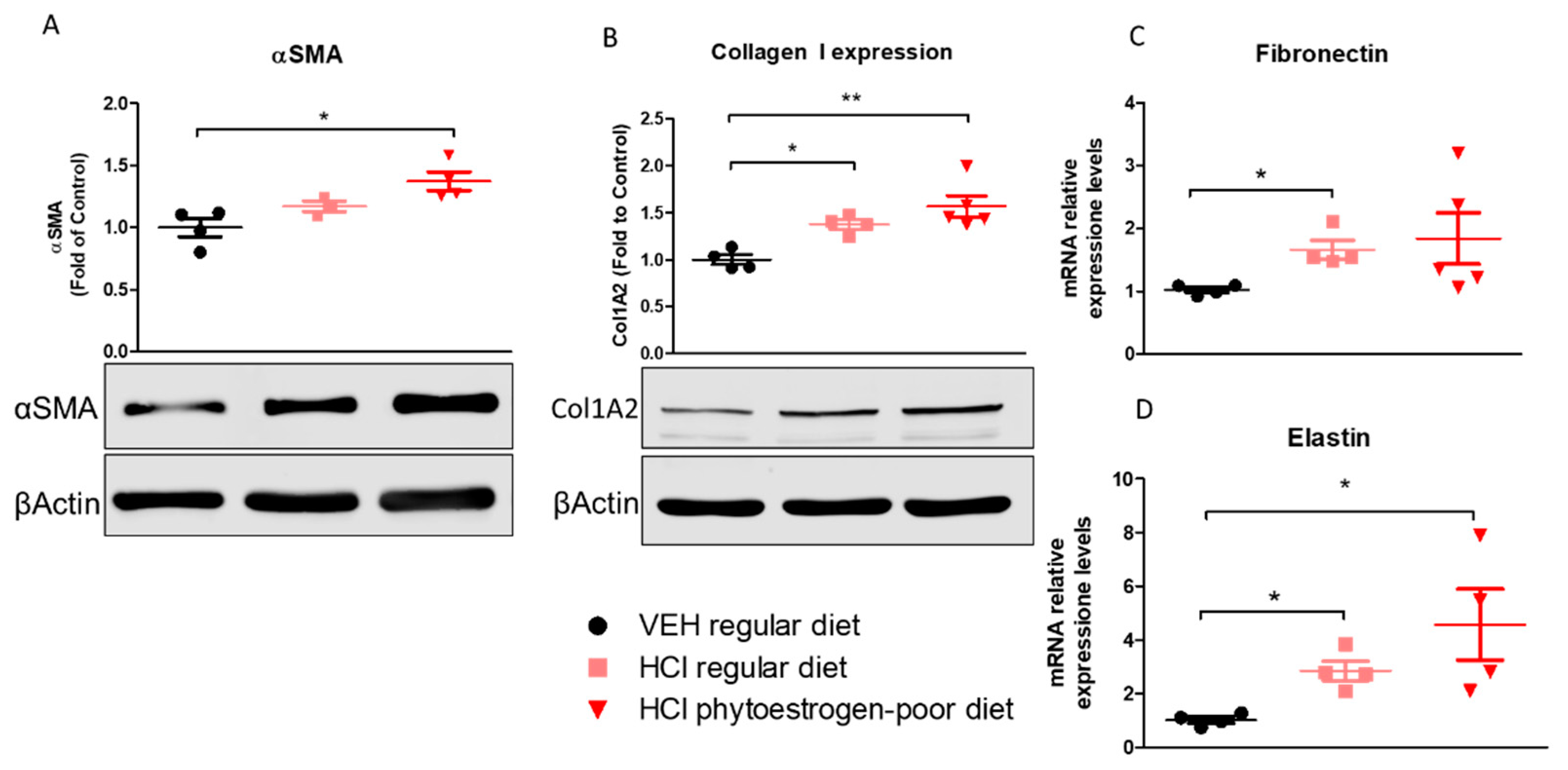 Nutrients 13 03599 g006 Nutrients 13 03599 g006
