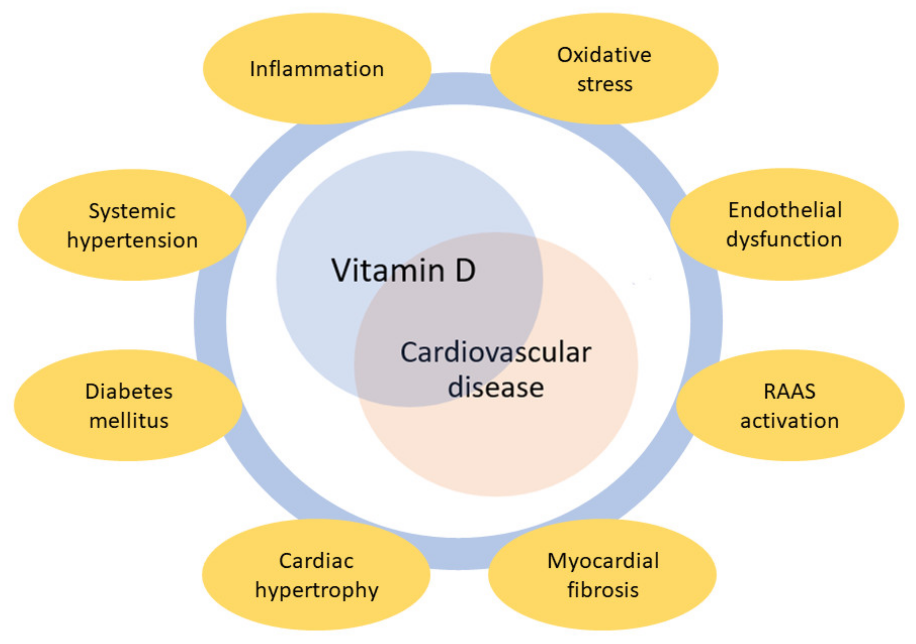 PDF) I Brazilian Guidelines for cardiovascular prevention