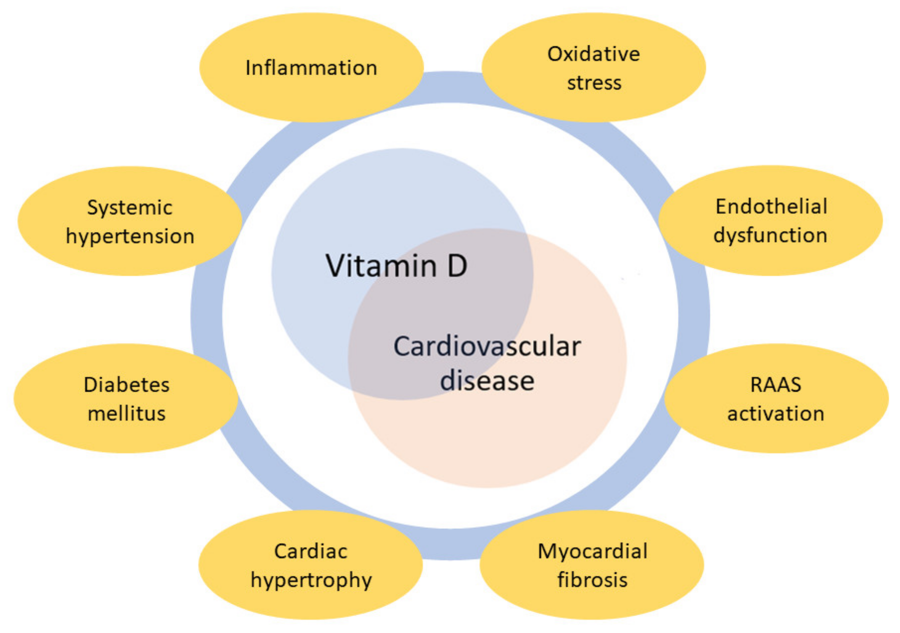 Supplementation with vitamin D and its analogs for treatment of endothelial  dysfunction and cardiovascular disease – ScienceOpen