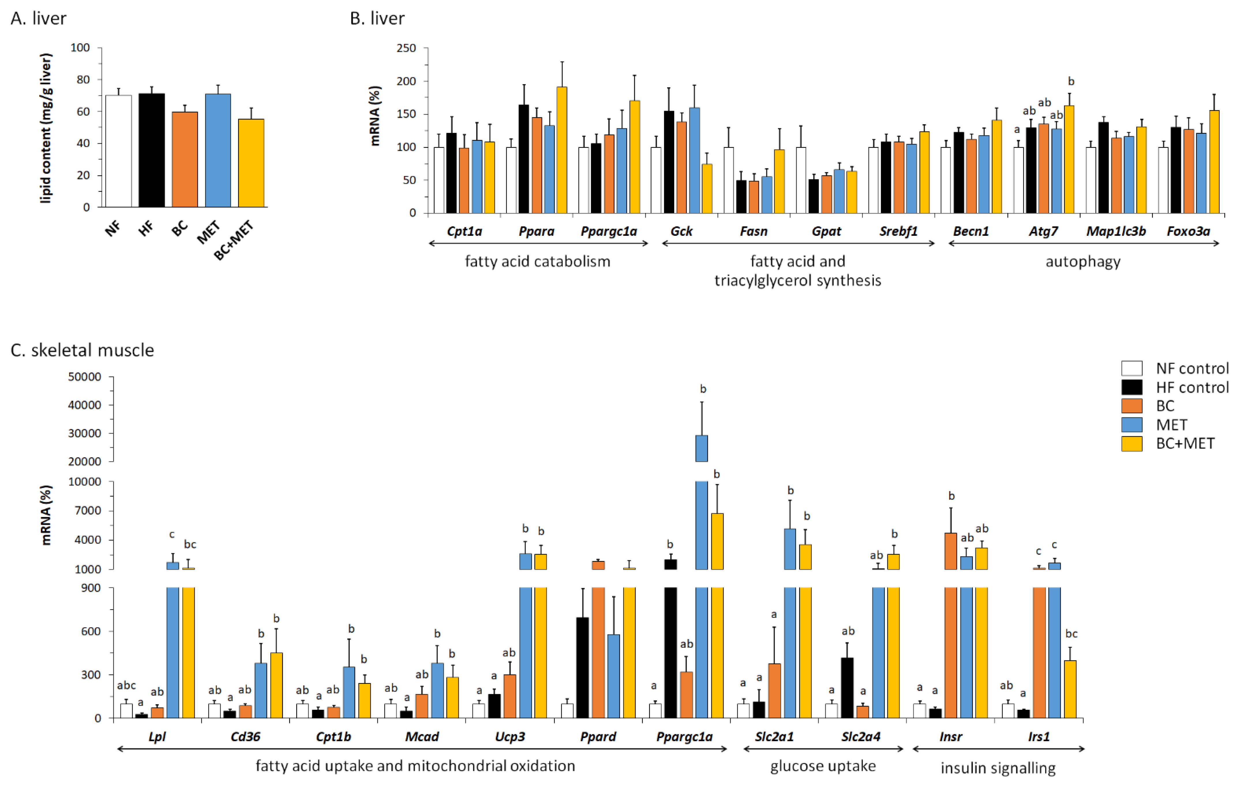 Nutrients 13 03607 g006