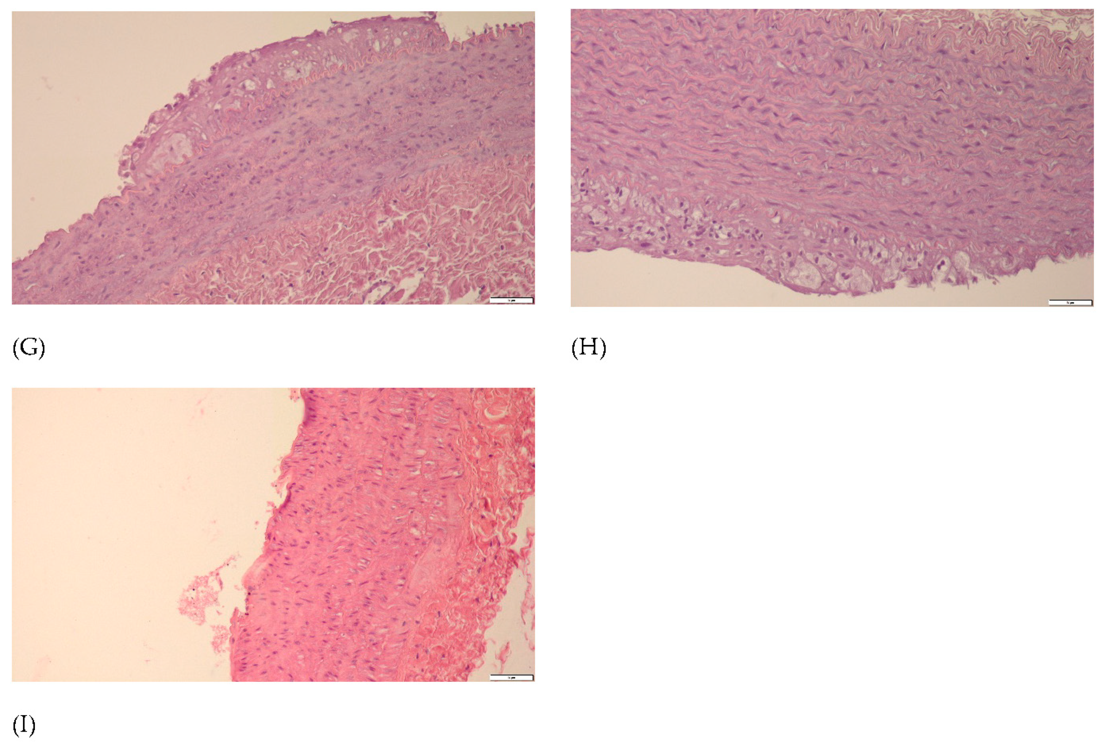 Nutrients 13 03621 g008b Nutrients 13 03621 g008b