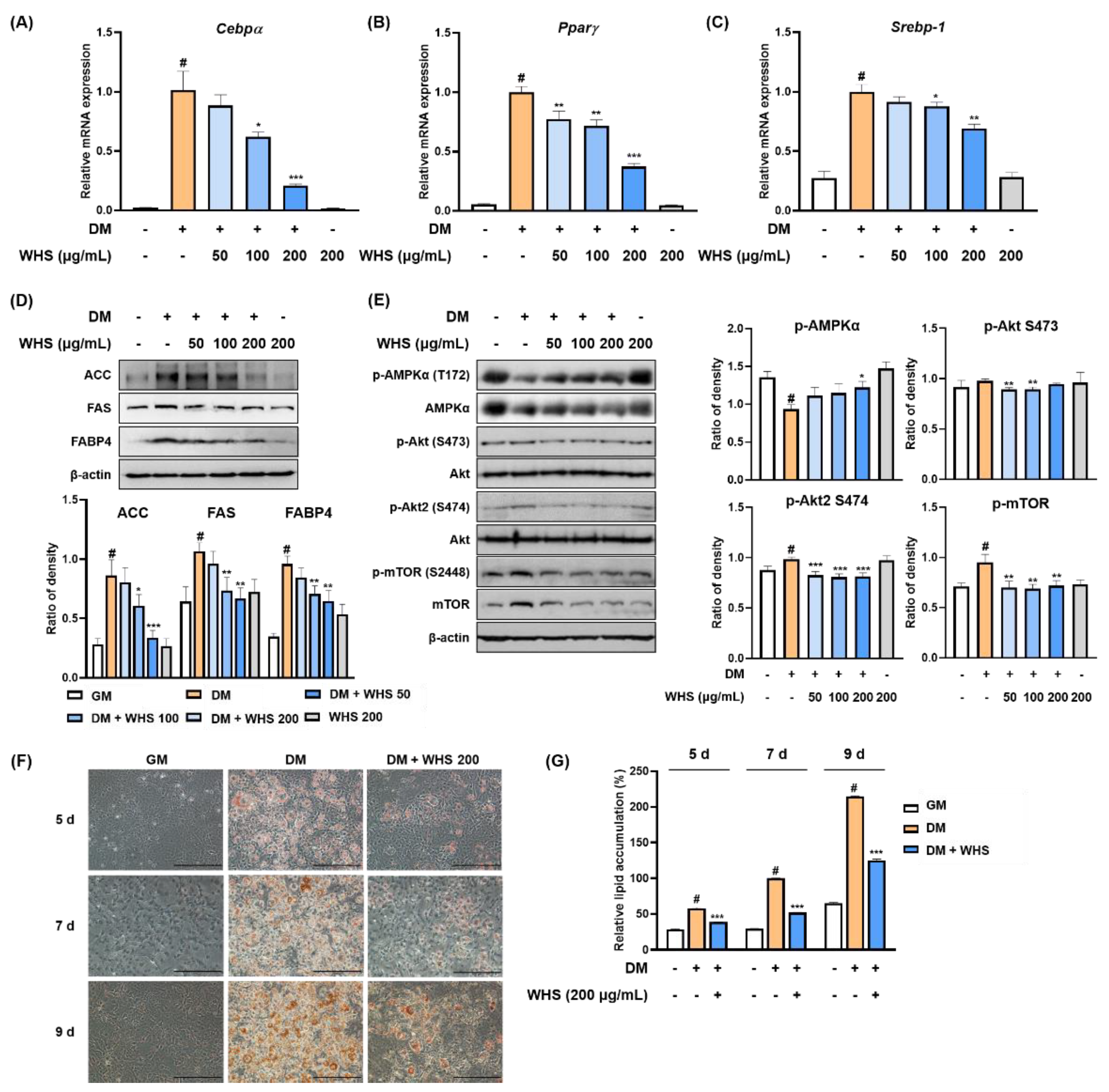 Nutrients 13 03624 g001