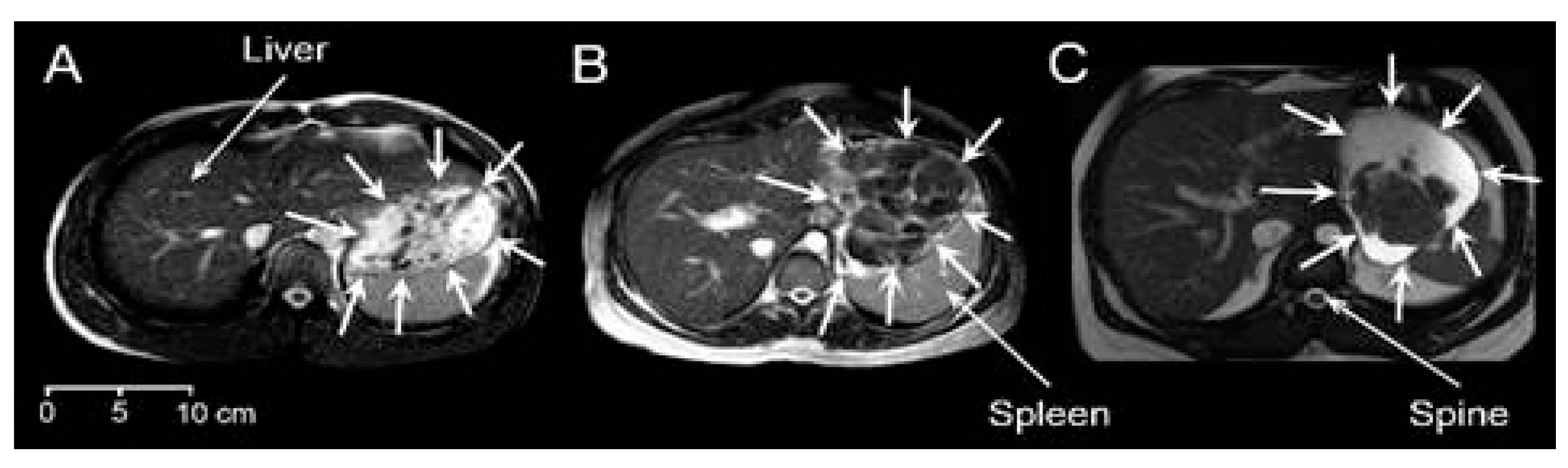 Nutrients 13 03626 g001 550