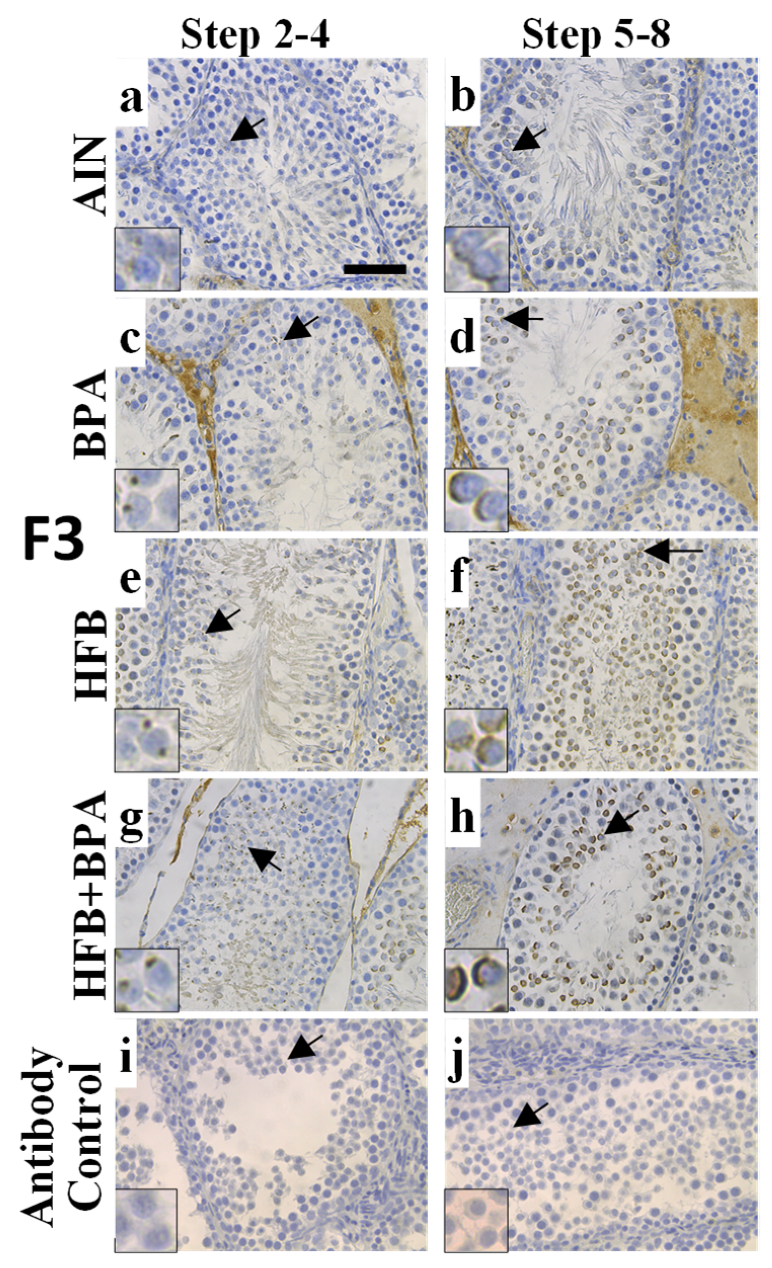 Nutrients 13 03636 g003