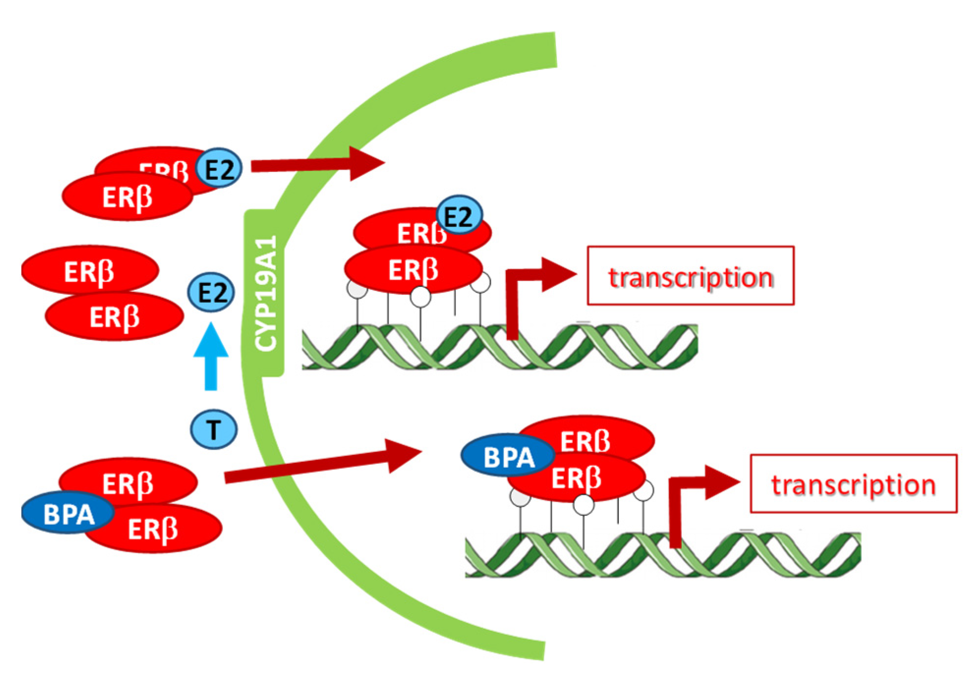 Nutrients 13 03636 g009