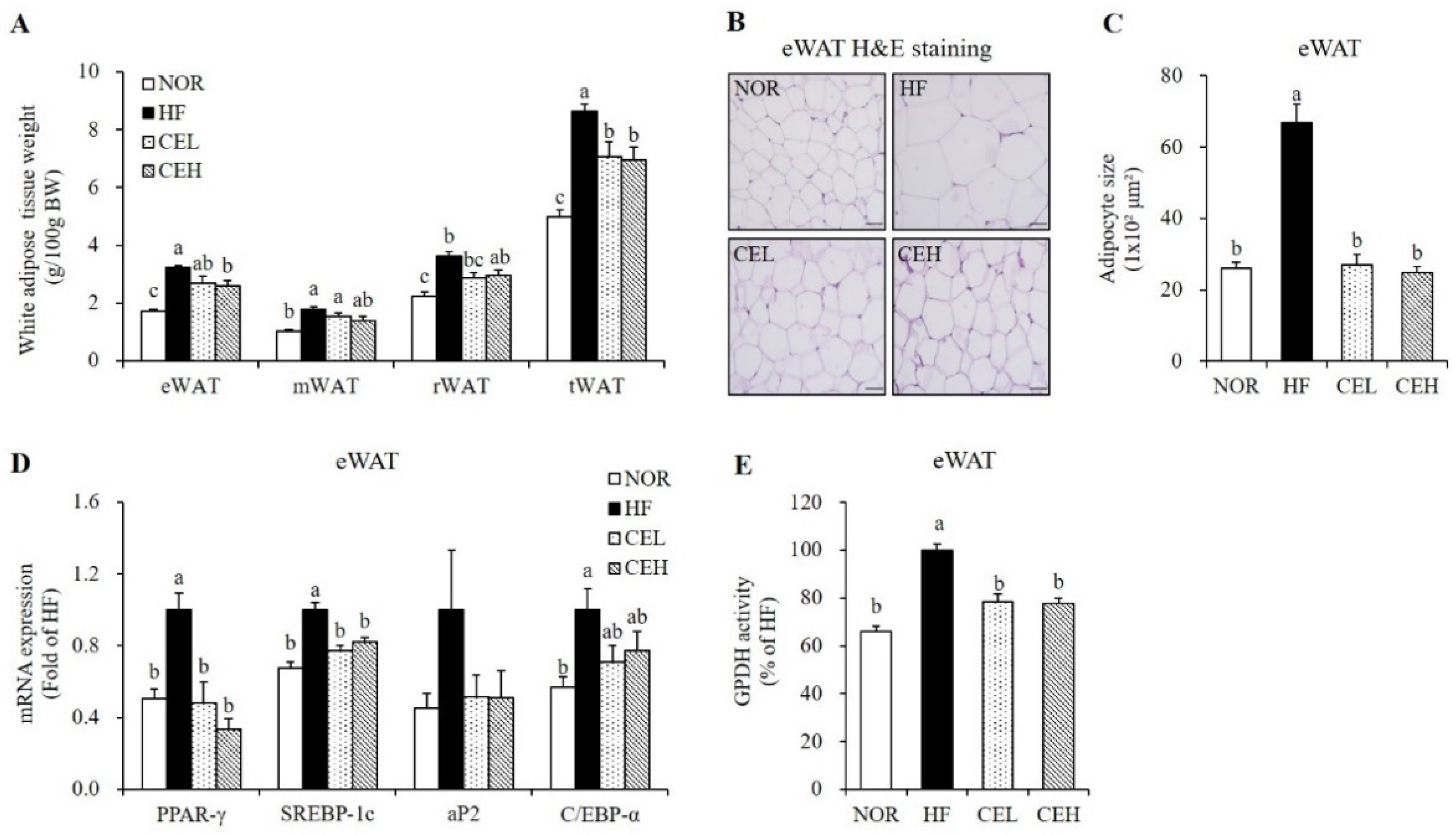 Nutrients 13 03660 g002