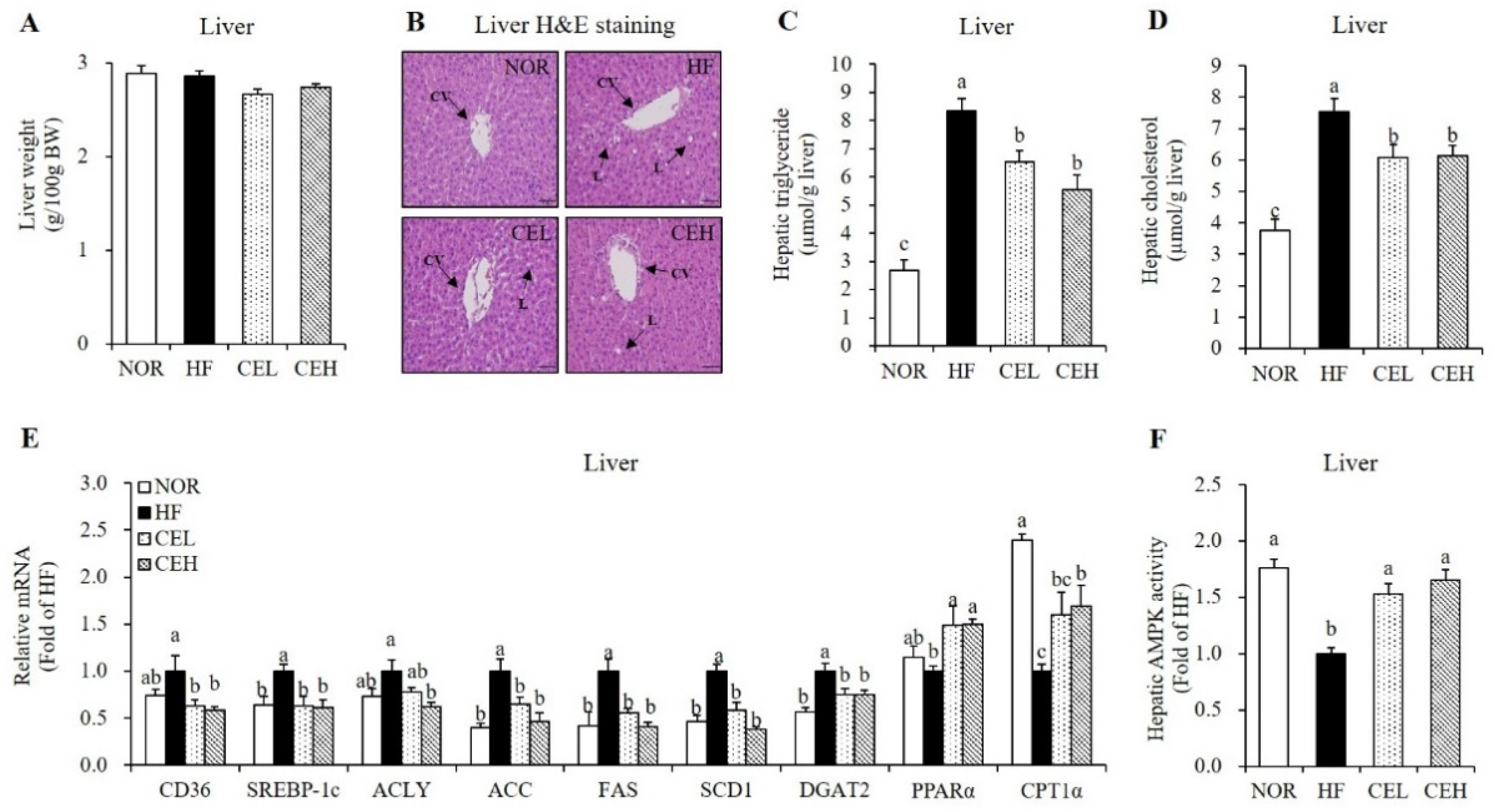 Nutrients 13 03660 g004
