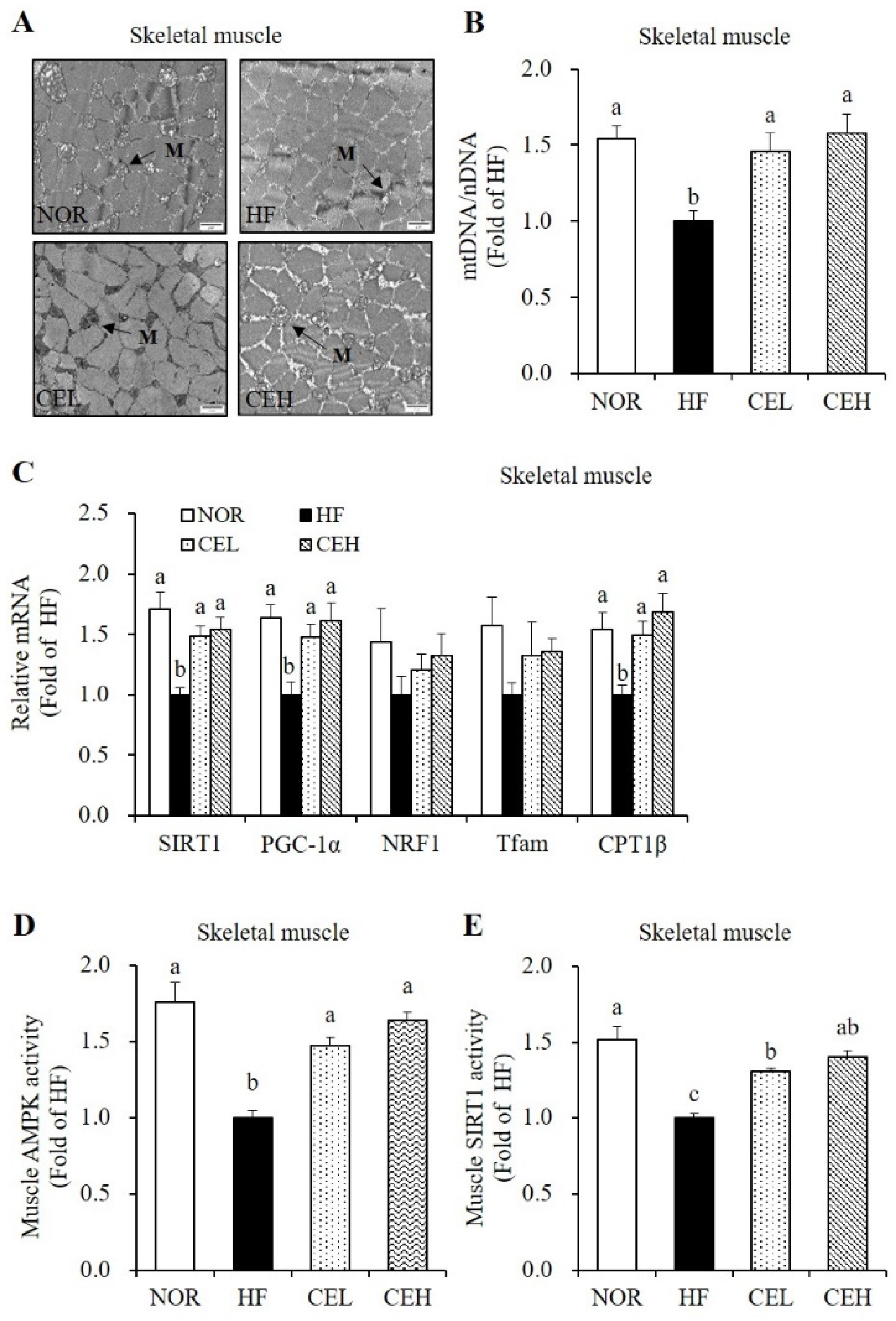 Nutrients 13 03660 g005