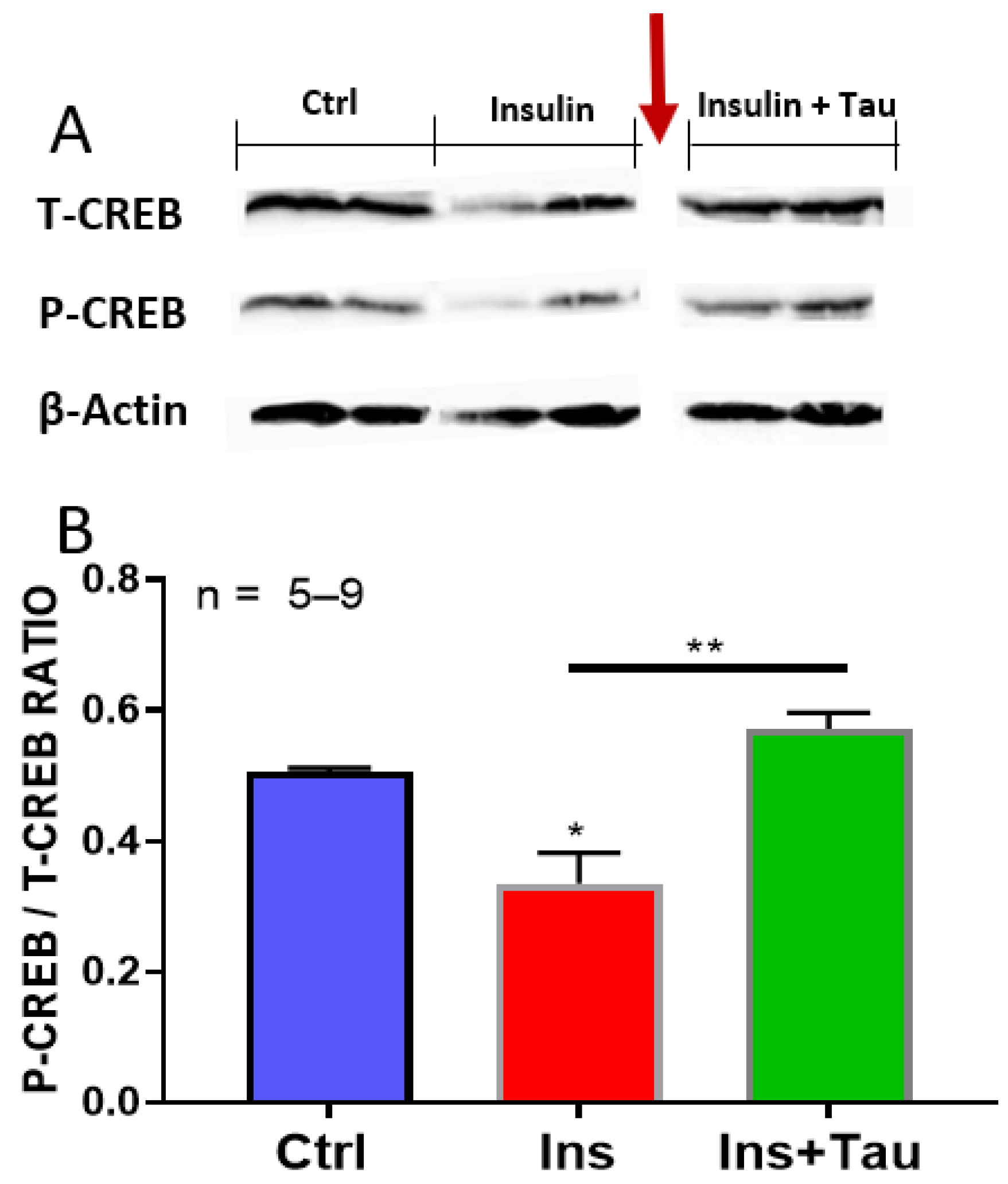 Nutrients 13 03686 g008