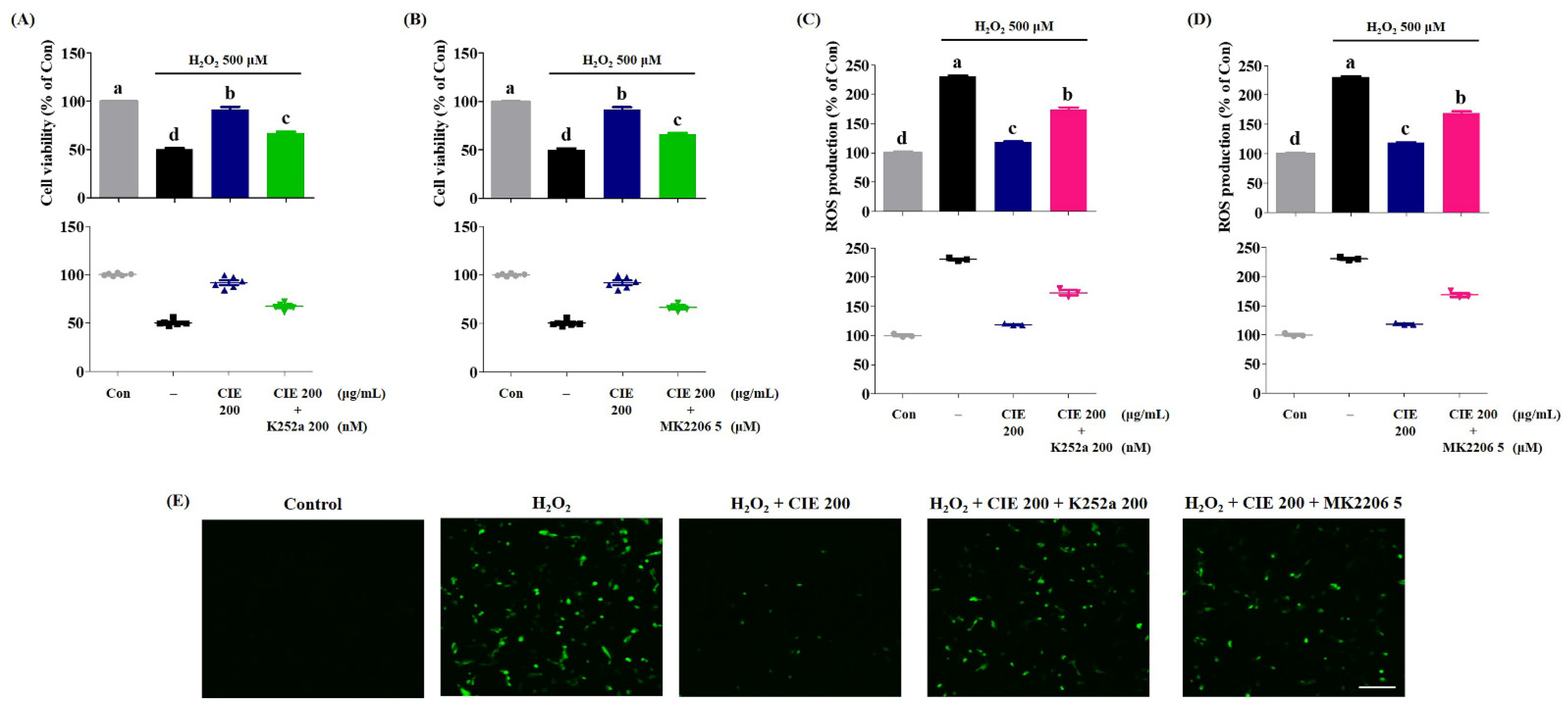 Nutrients 13 03690 g007 Nutrients 13 03690 g007