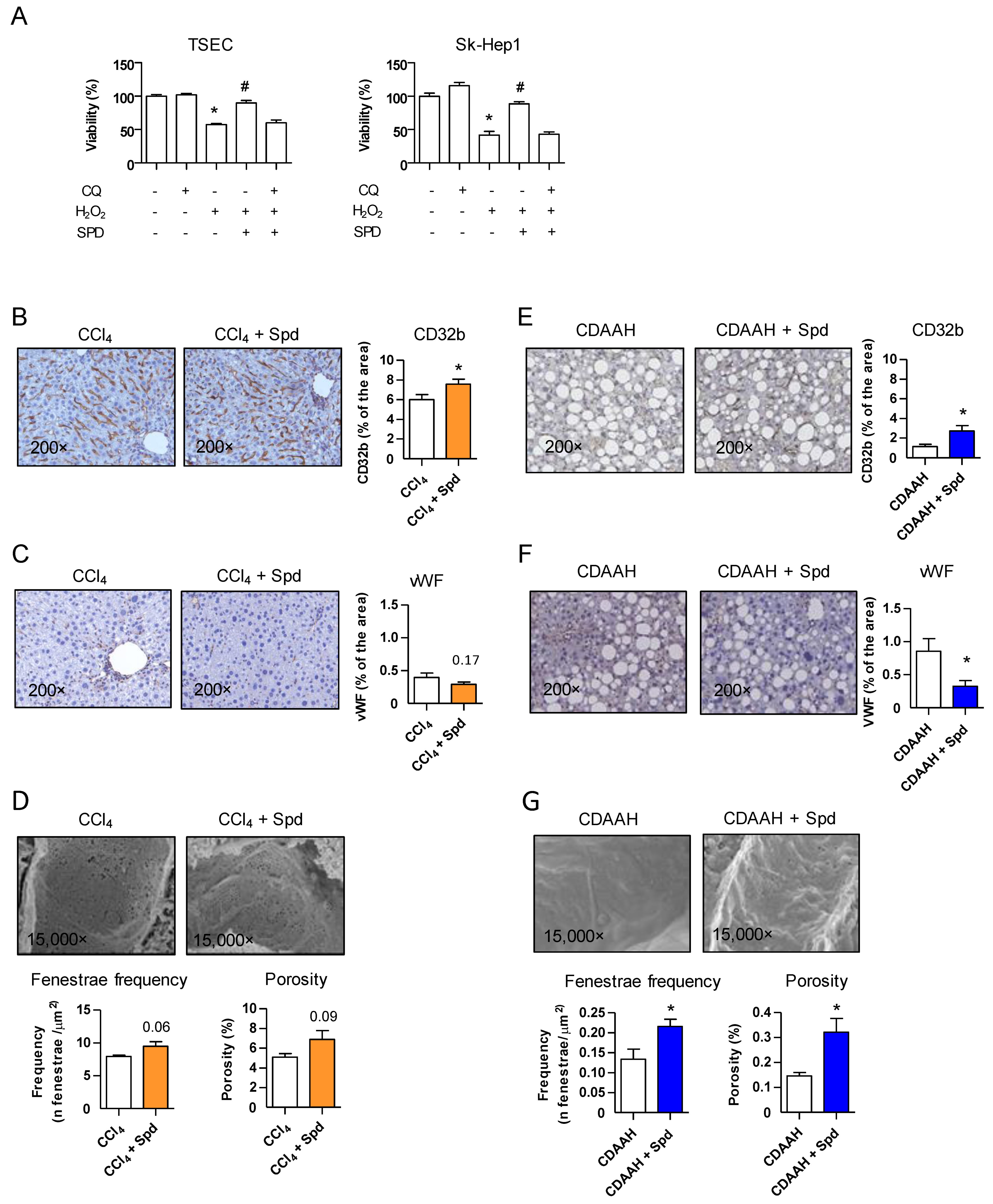 Nutrients 13 03700 g001