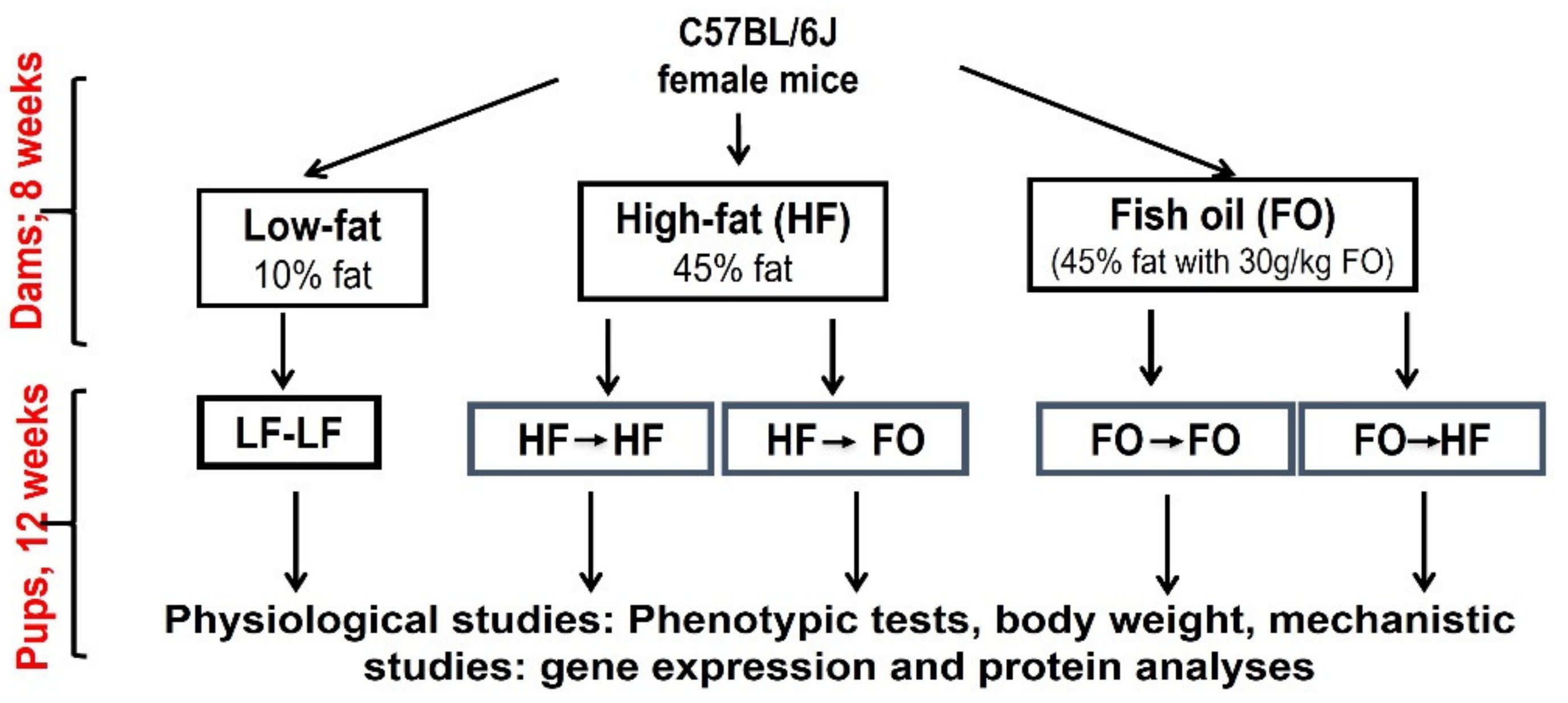 Nutrients 13 03703 g001 Nutrients 13 03703 g001