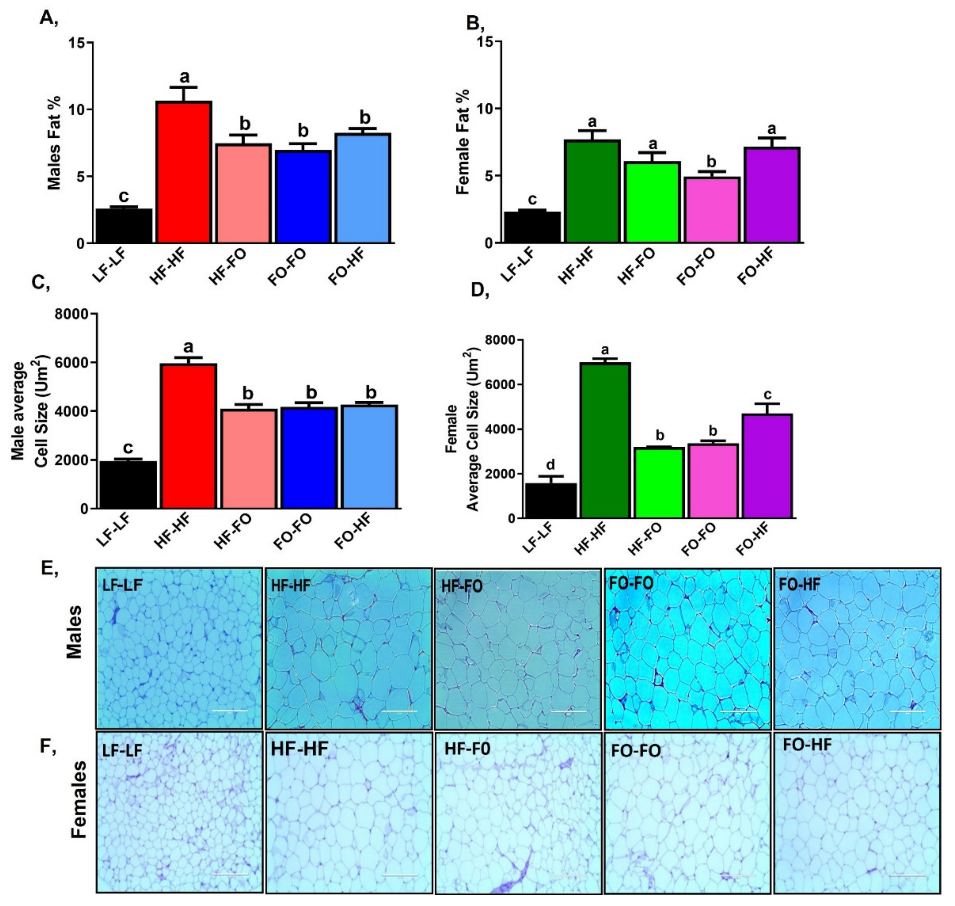 Nutrients 13 03703 g004 Nutrients 13 03703 g004