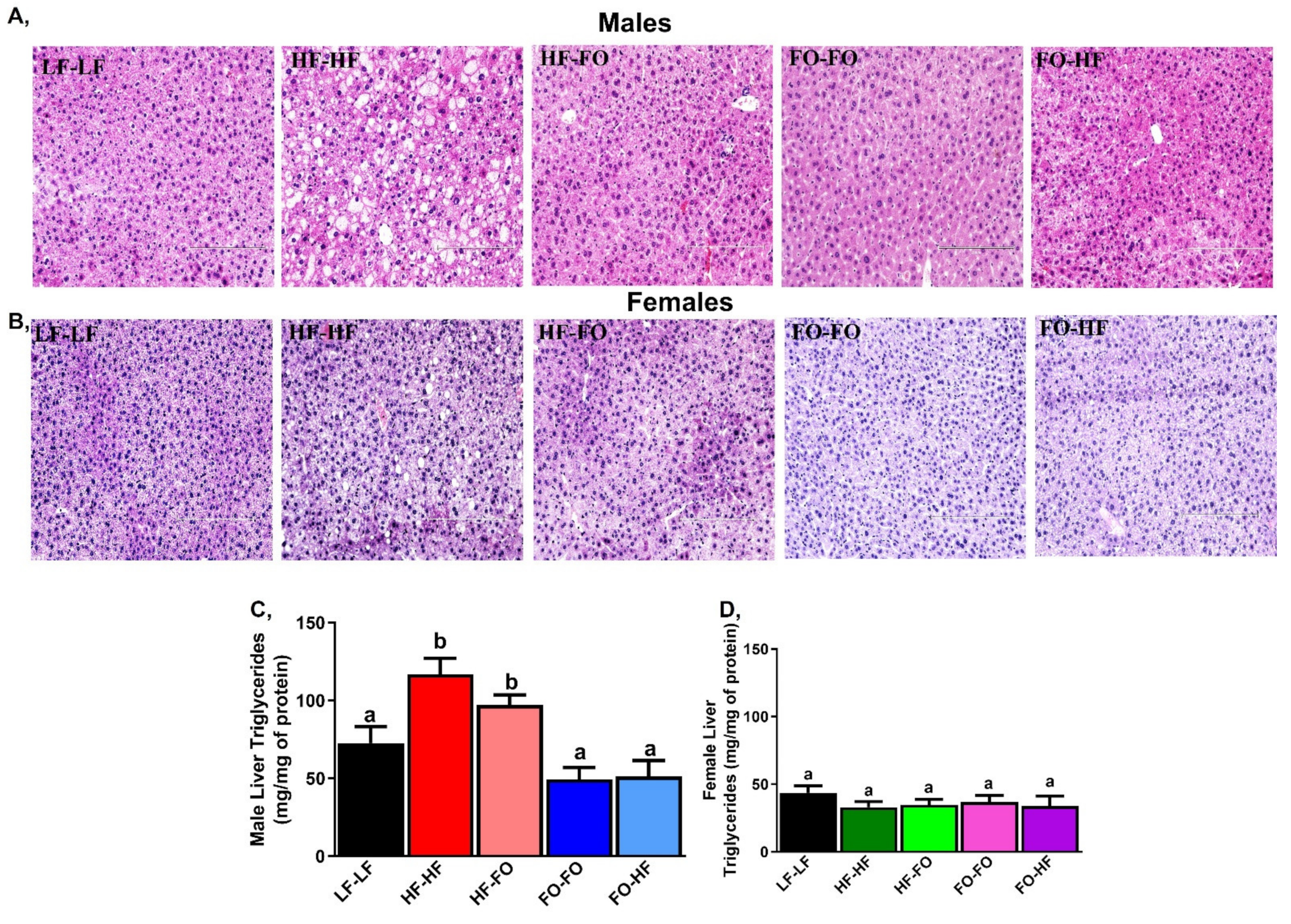 Nutrients 13 03703 g008 Nutrients 13 03703 g008
