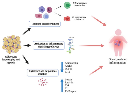 basic immunology abbas torrent basic immunology abbas torrent