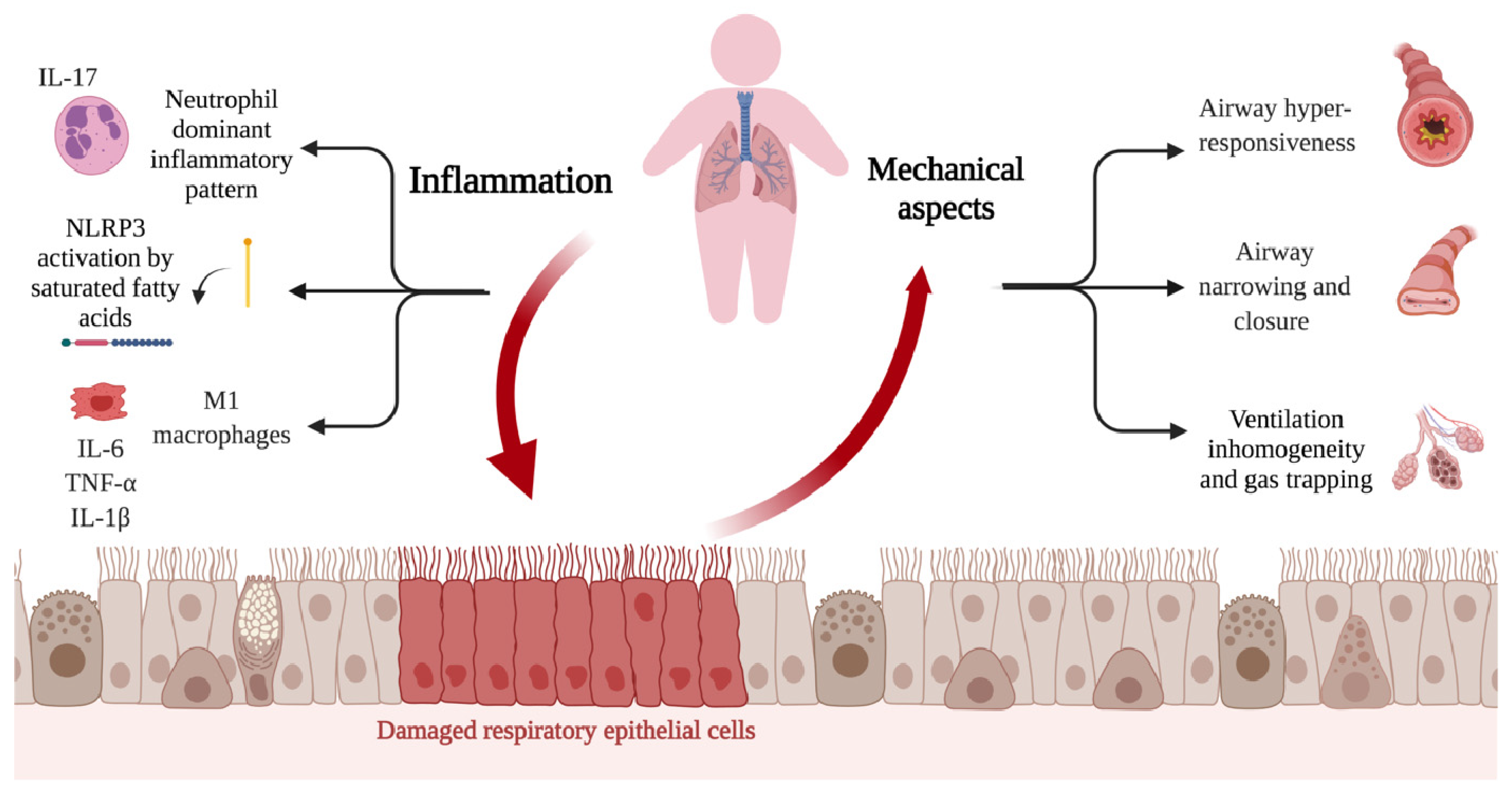 Nutrients 13 03708 g002