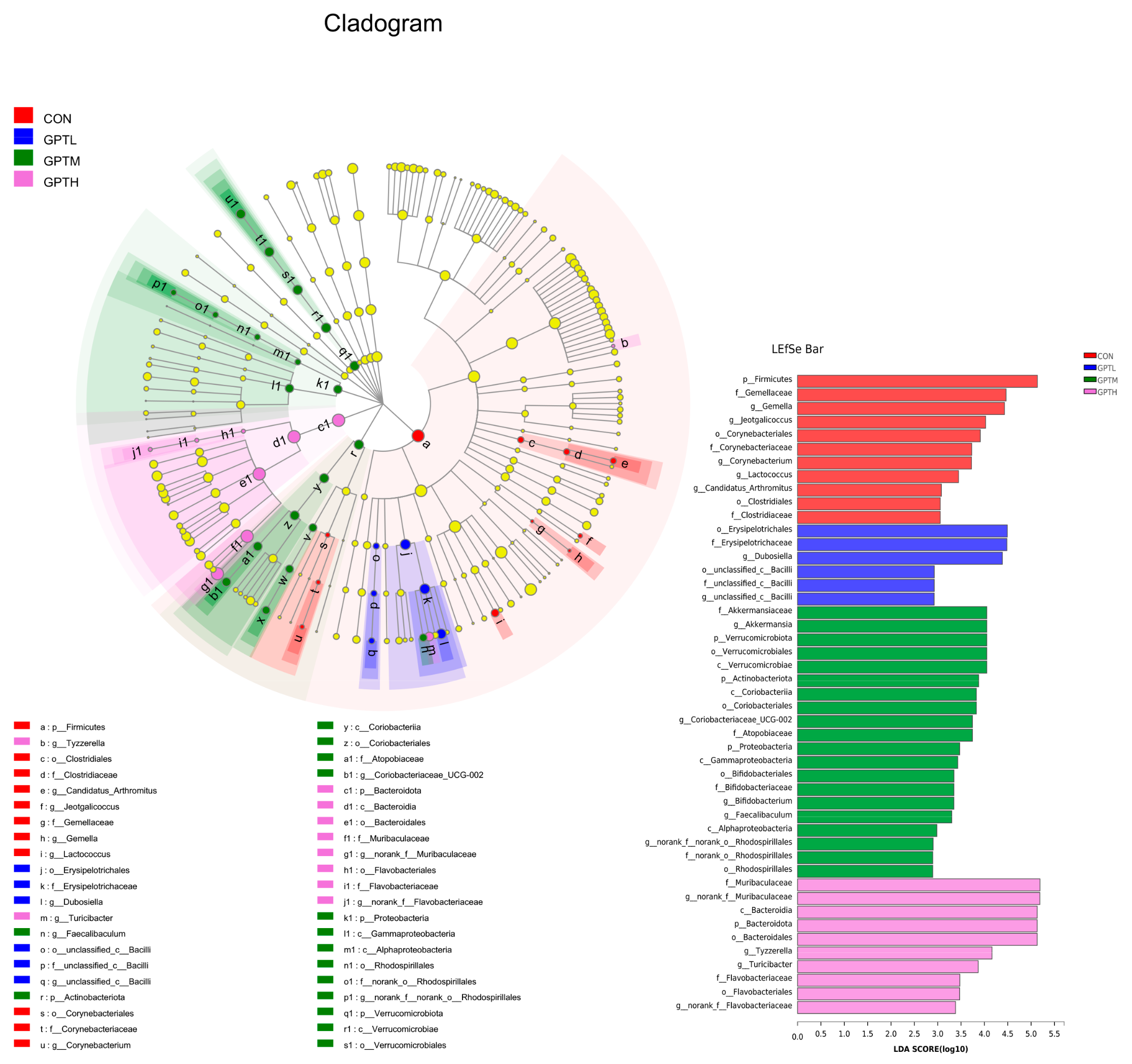 Nutrients 13 03715 g007