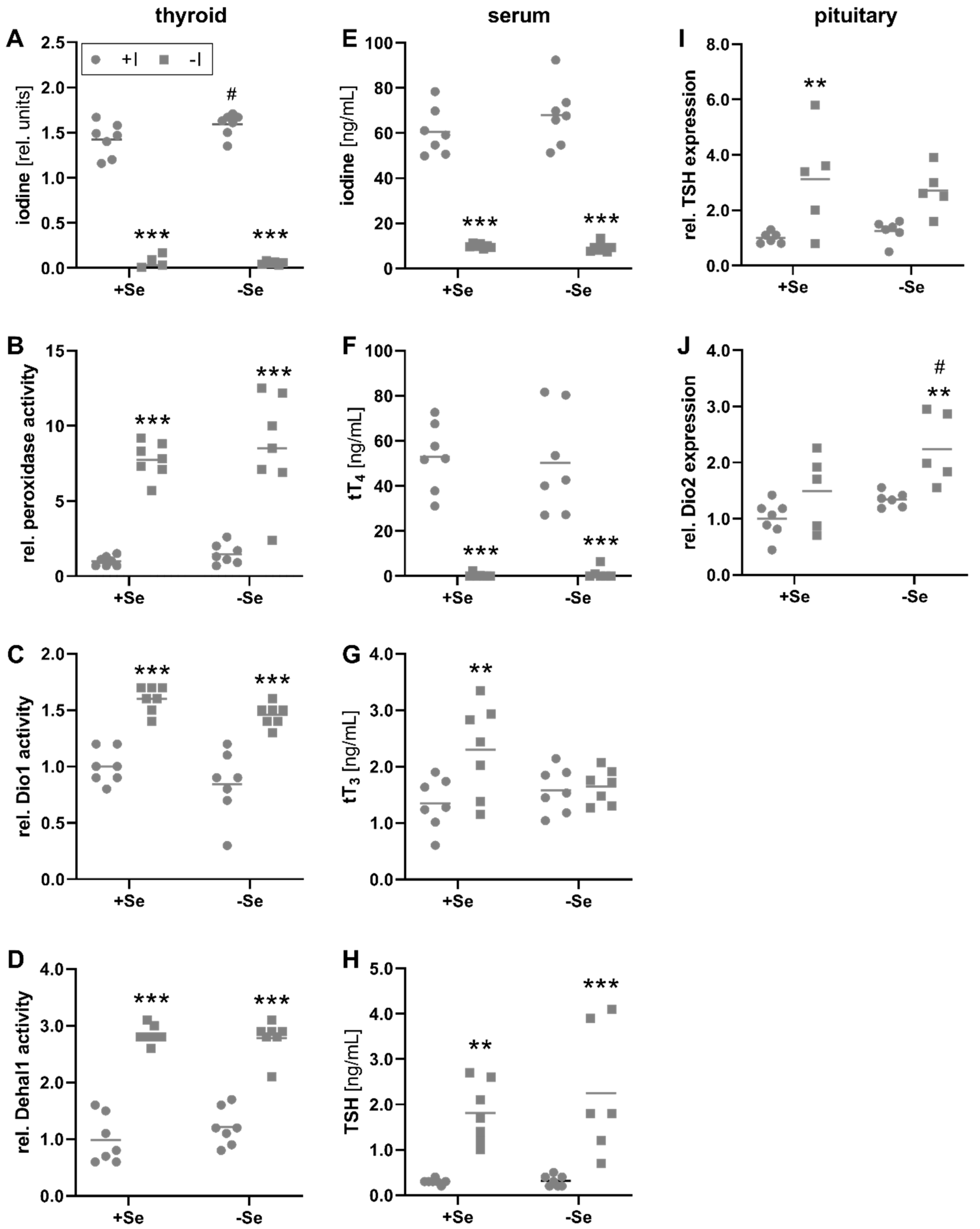 Nutrients 13 03773 g001