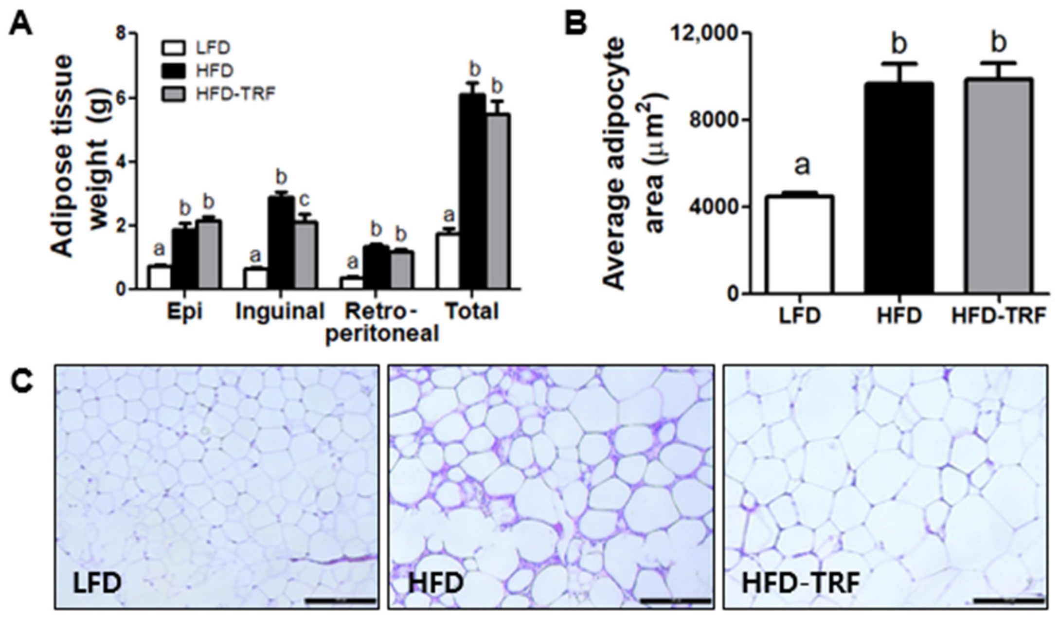 Nutrients 13 03780 g002