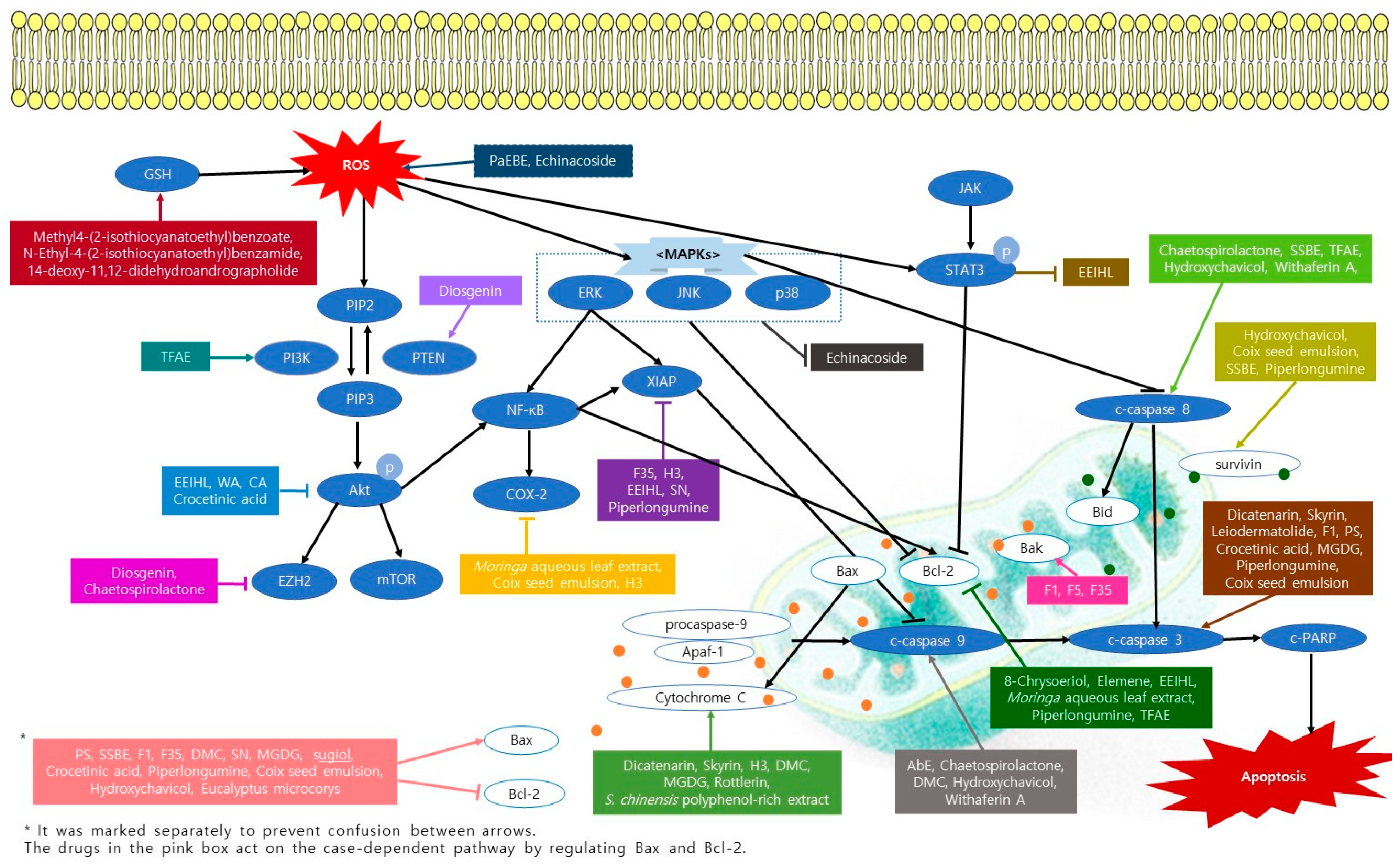 Nutrients 13 03801 g001 550