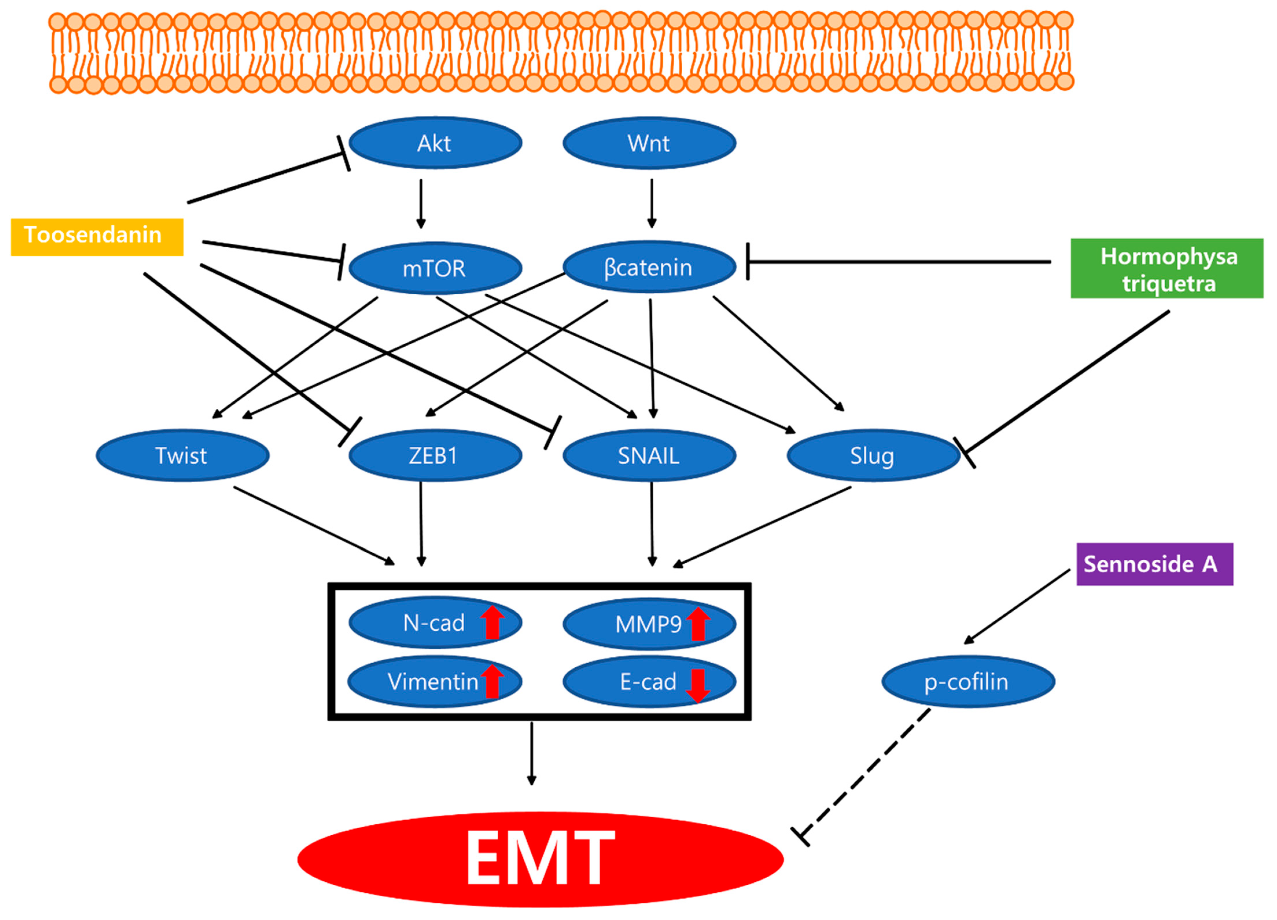 Nutrients 13 03801 g002 550