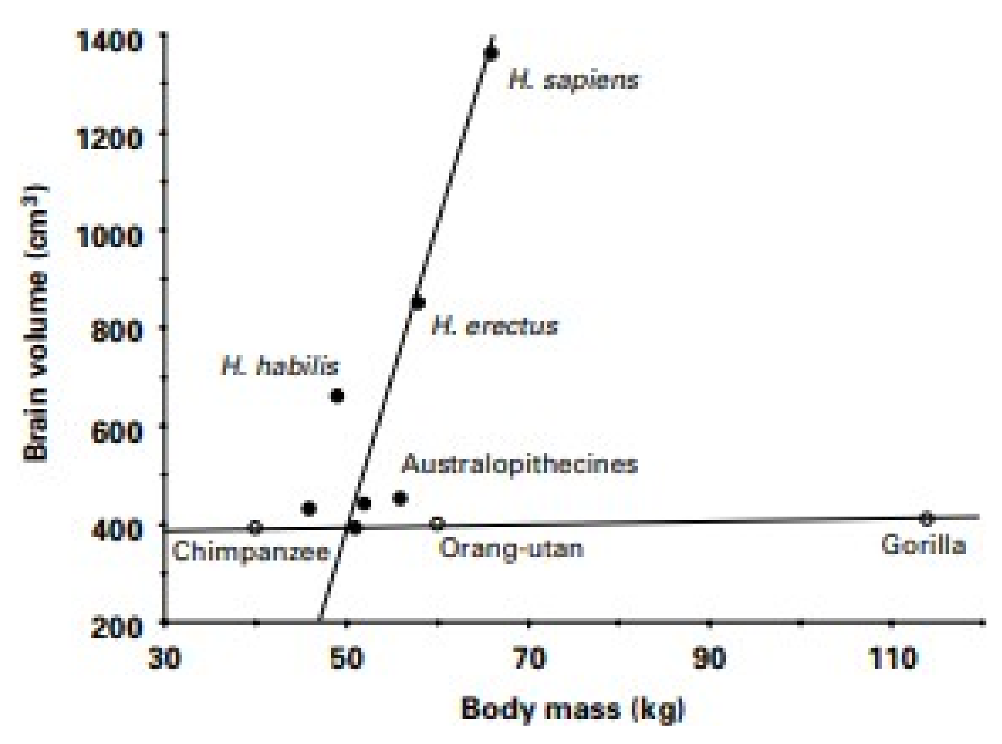 Nutrients 13 03812 g008
