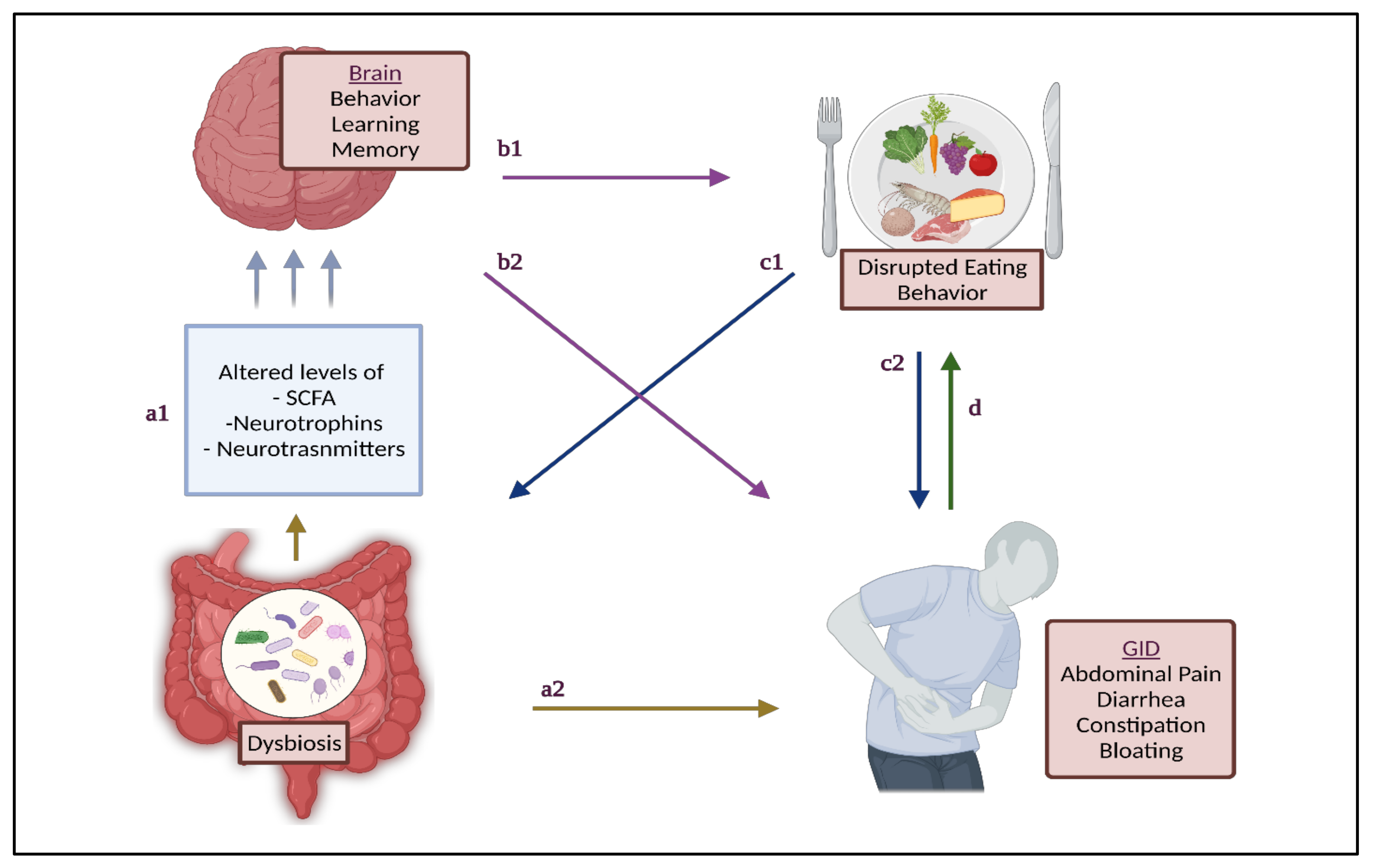 Nutrients 13 03818 g001 Nutrients 13 03818 g001