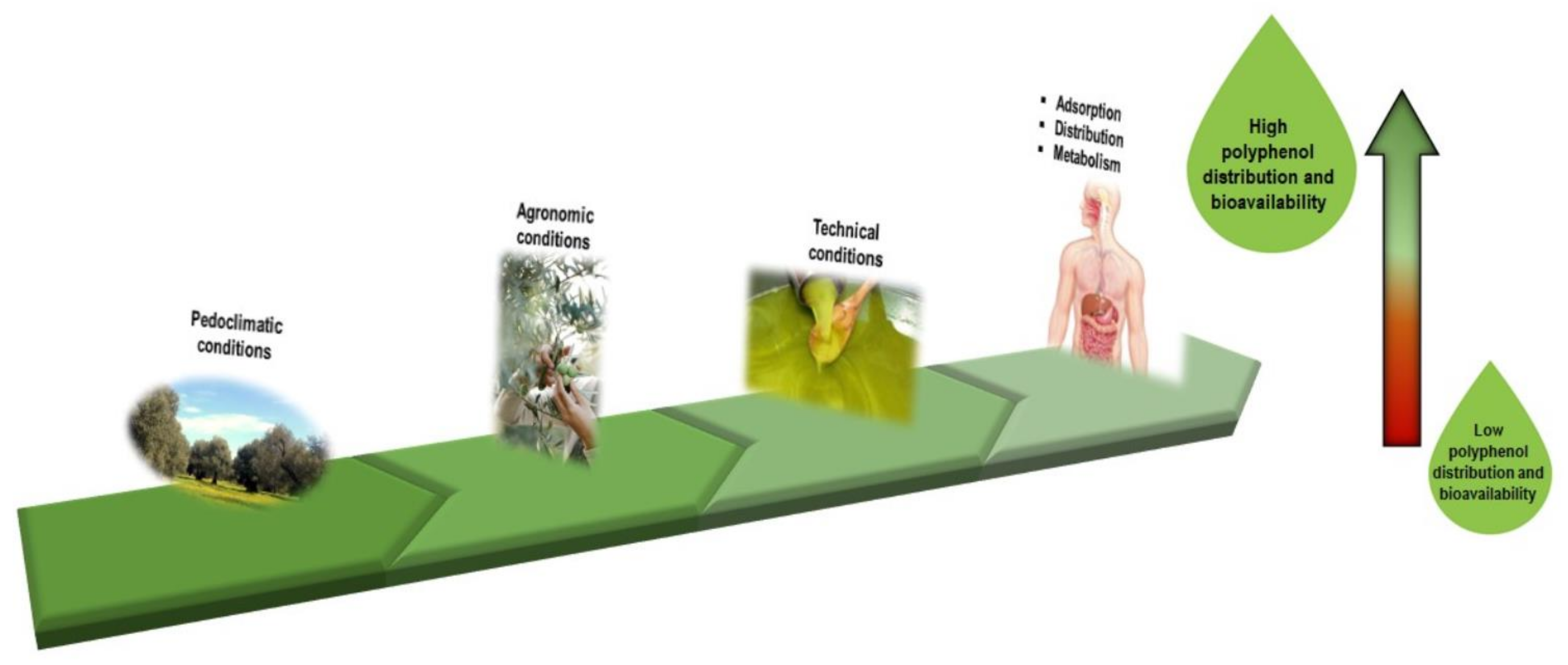 Nutrients 13 03831 g001 Nutrients 13 03831 g001