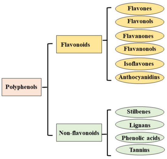 Nutrients Free FullText Nutraceuticals and Cancer Potential for