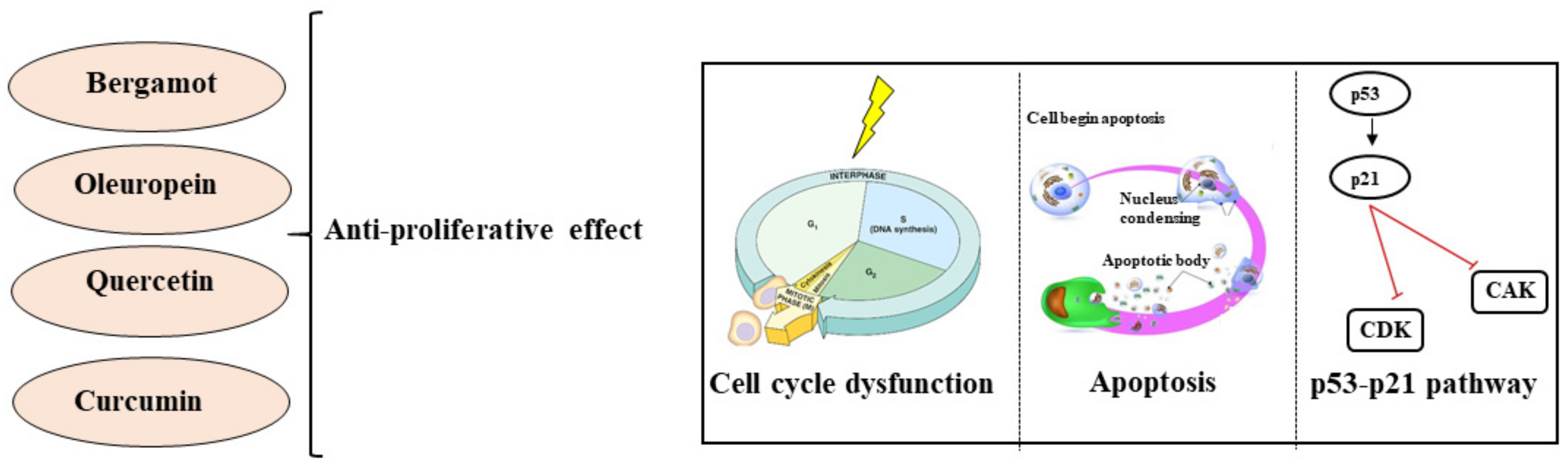 Nutrients 13 03834 g003 Nutrients 13 03834 g003