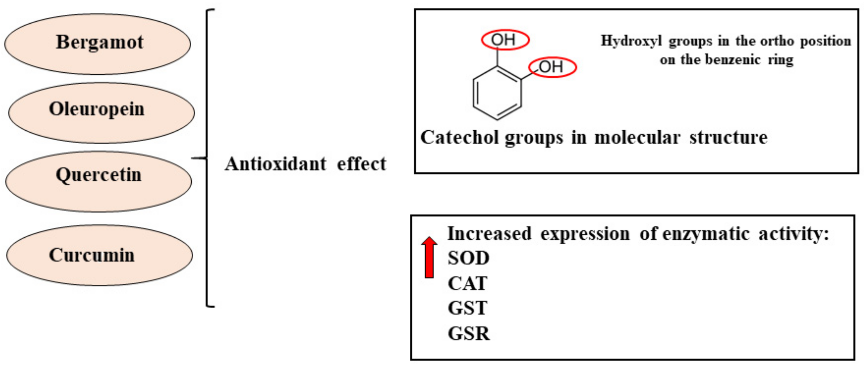 Nutrients 13 03834 g004 Nutrients 13 03834 g004