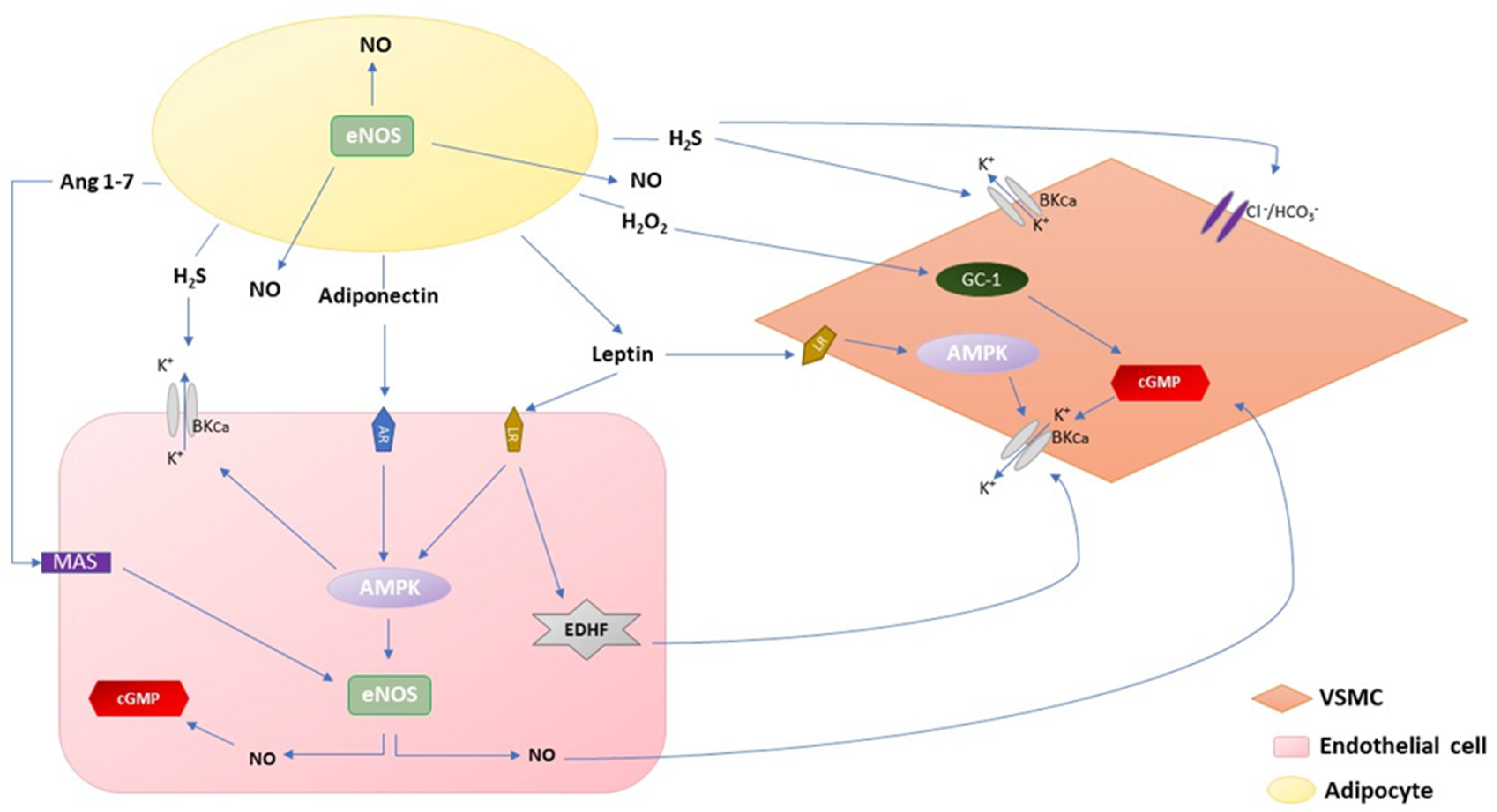 Nutrients 13 03843 g001 550