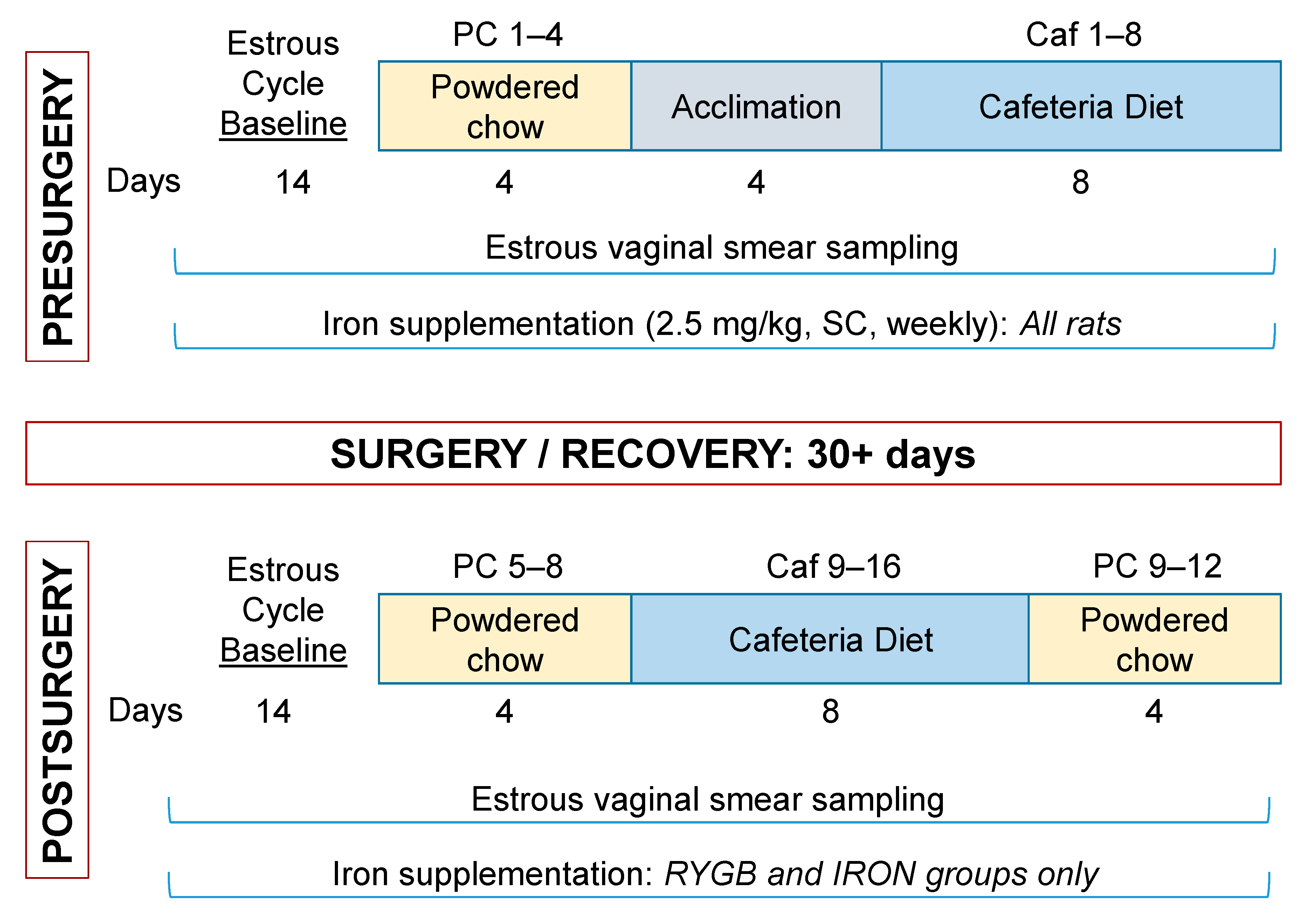 Nutrients 13 03856 g002