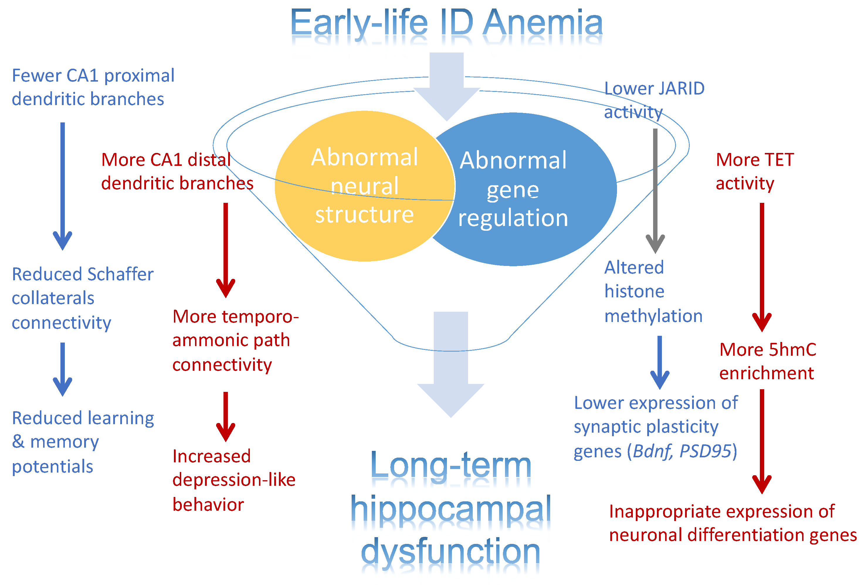 Nutrients 13 03857 g003 Nutrients 13 03857 g003