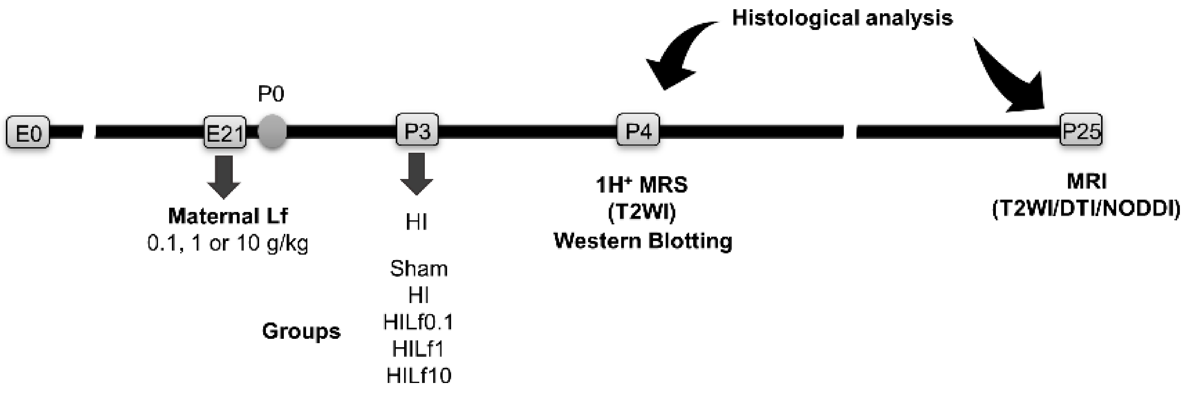 Nutrients 13 03880 g001 550