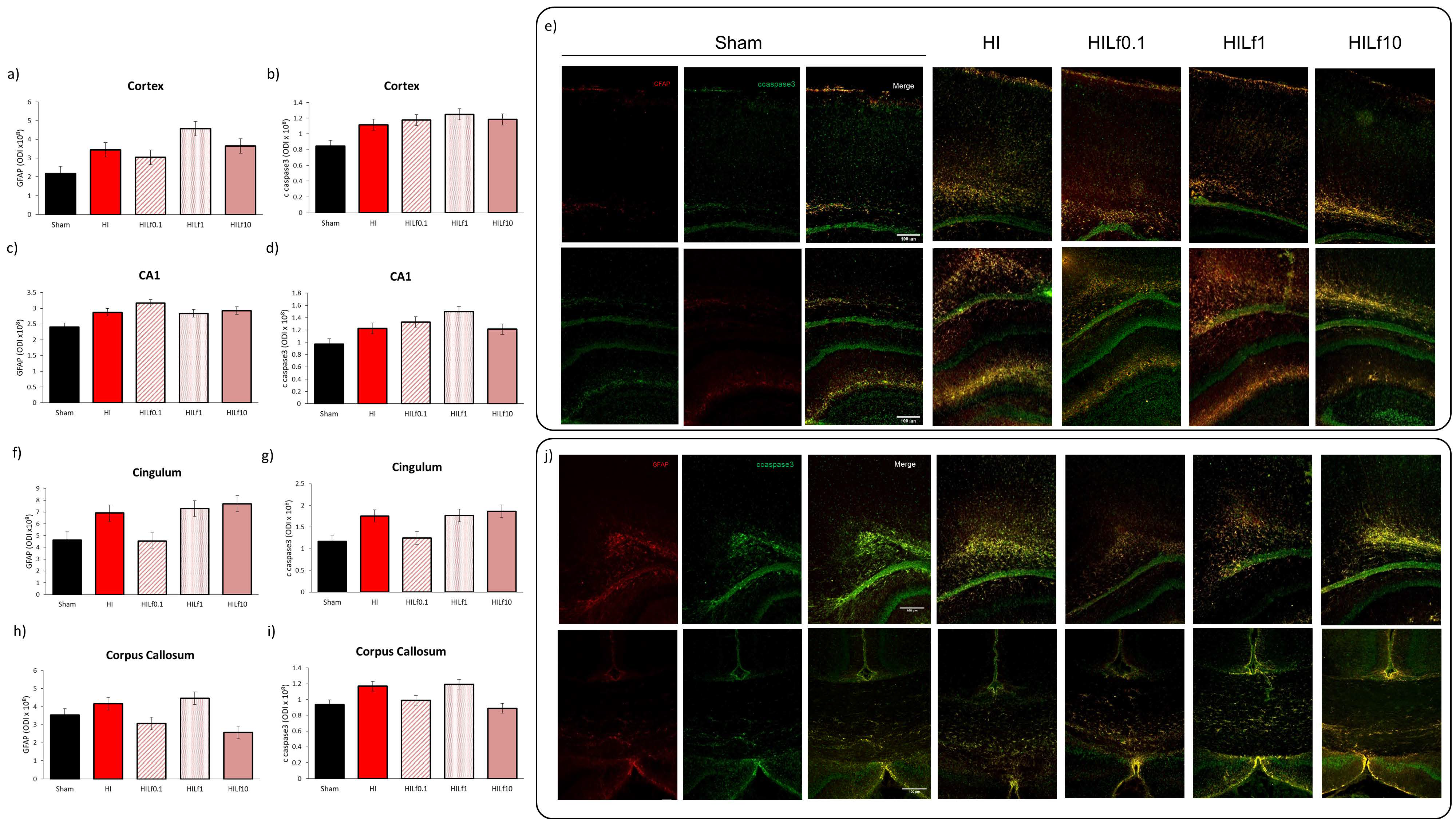 Nutrients 13 03880 g005 550