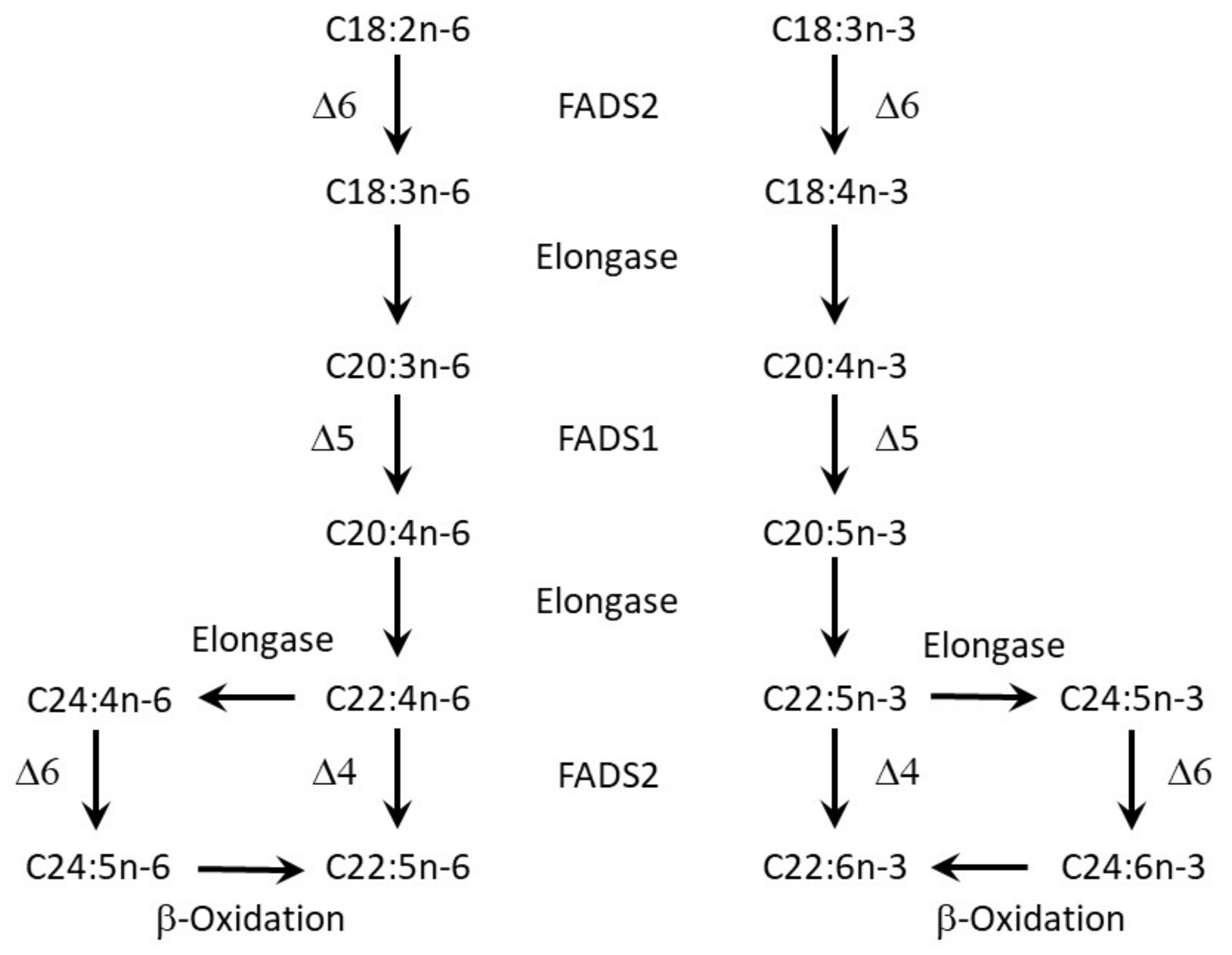 Nutrients 13 03882 g001