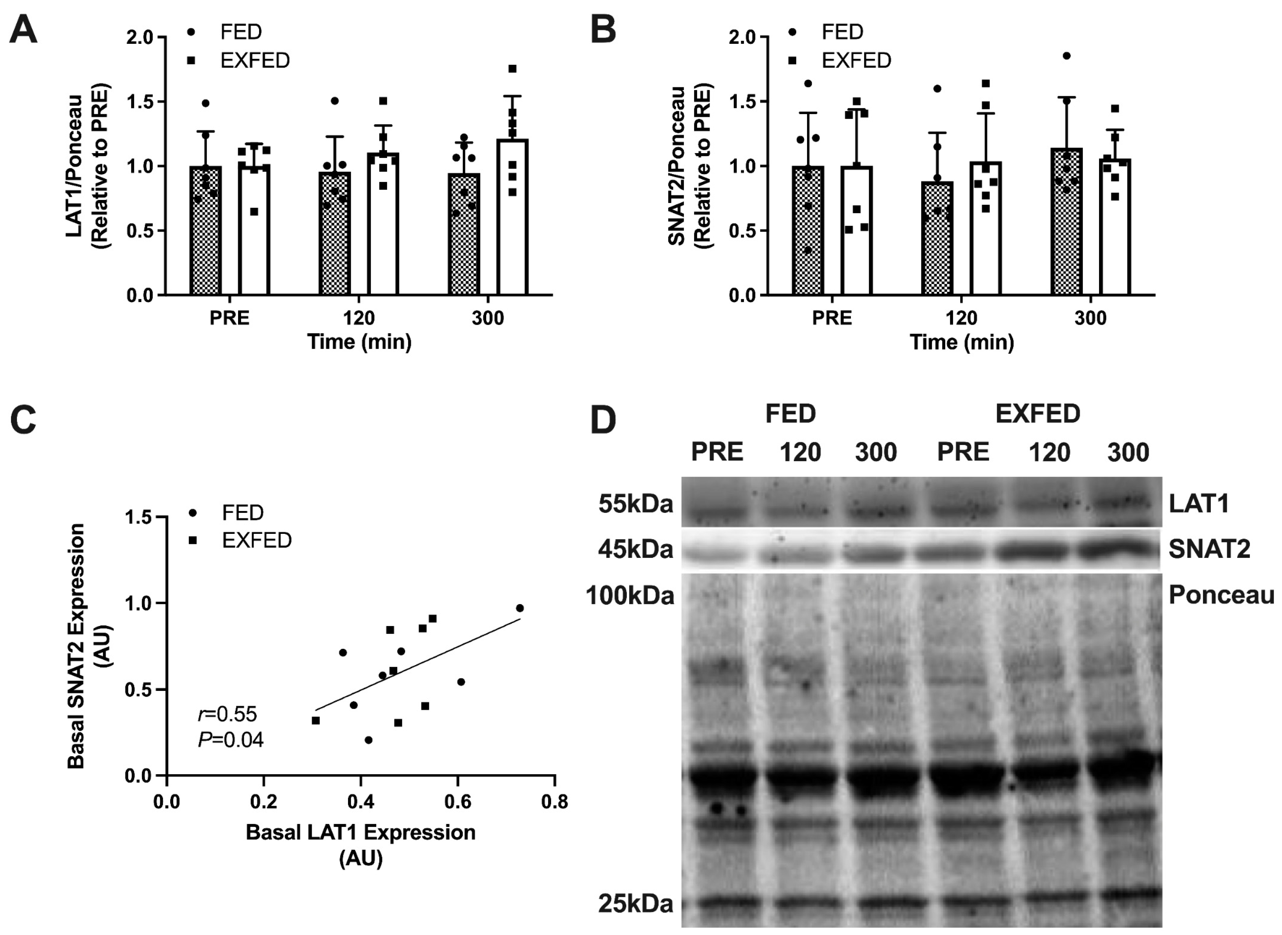 Nutrients 13 03906 g001