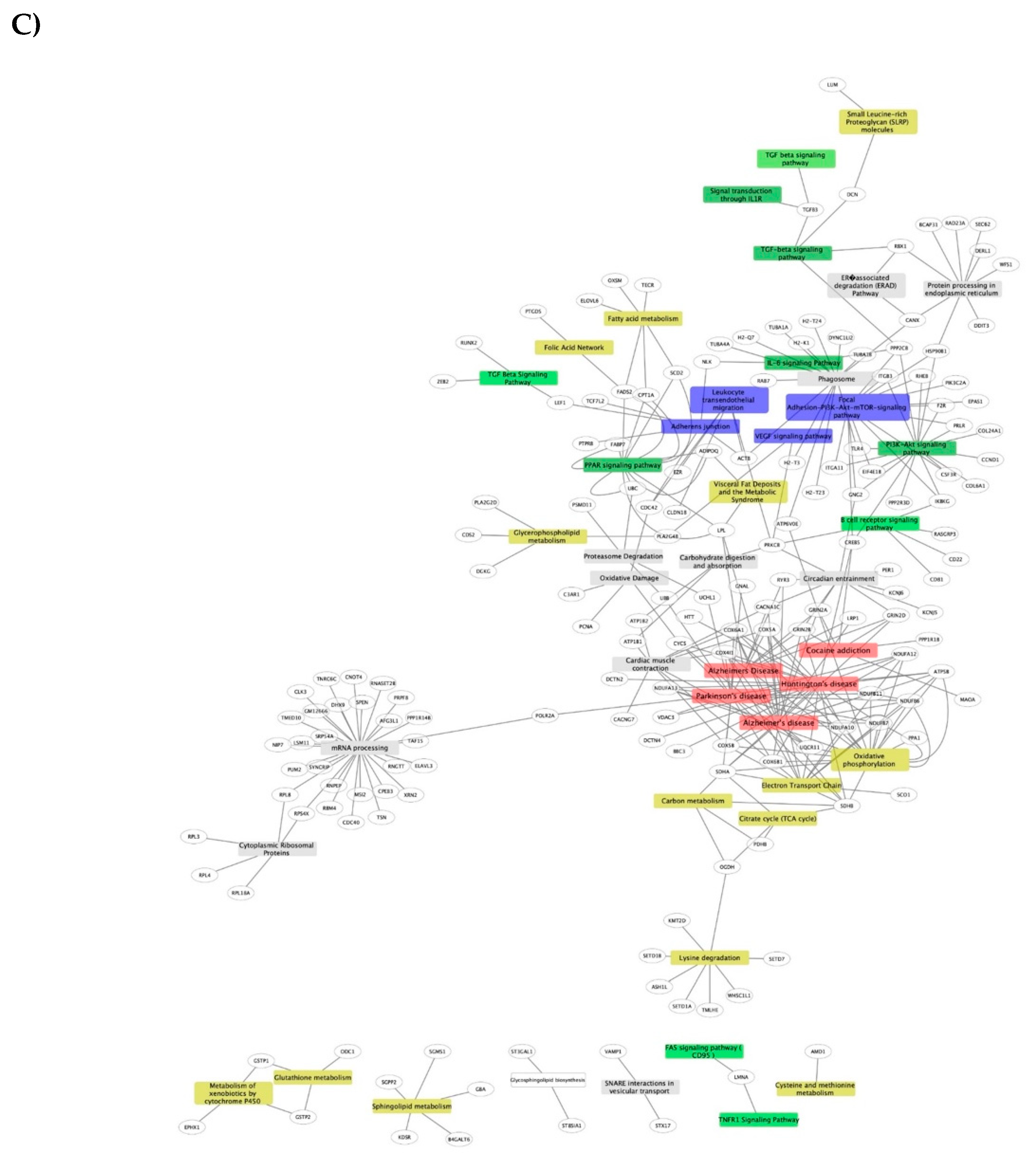 Nutrients 13 03913 g004c