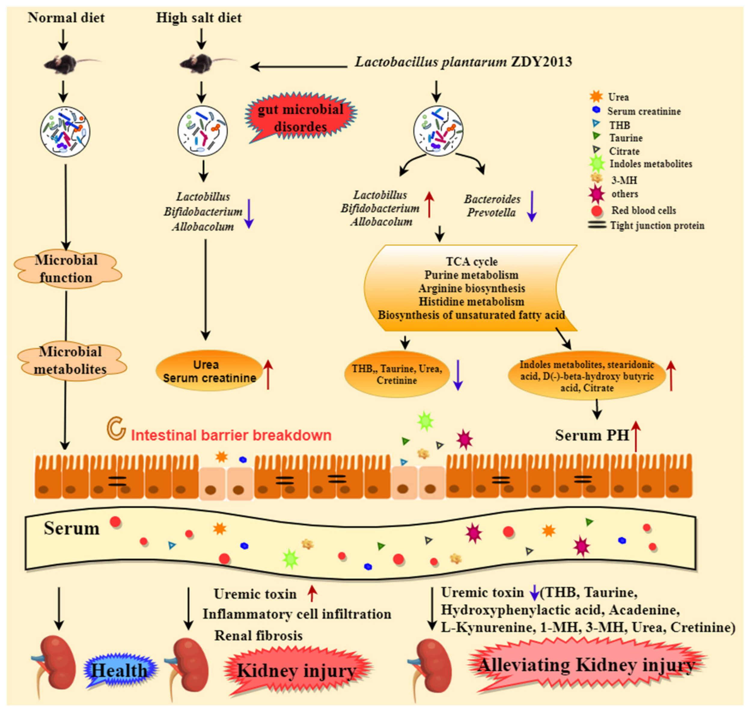 Nutrients 13 03920 g005 550