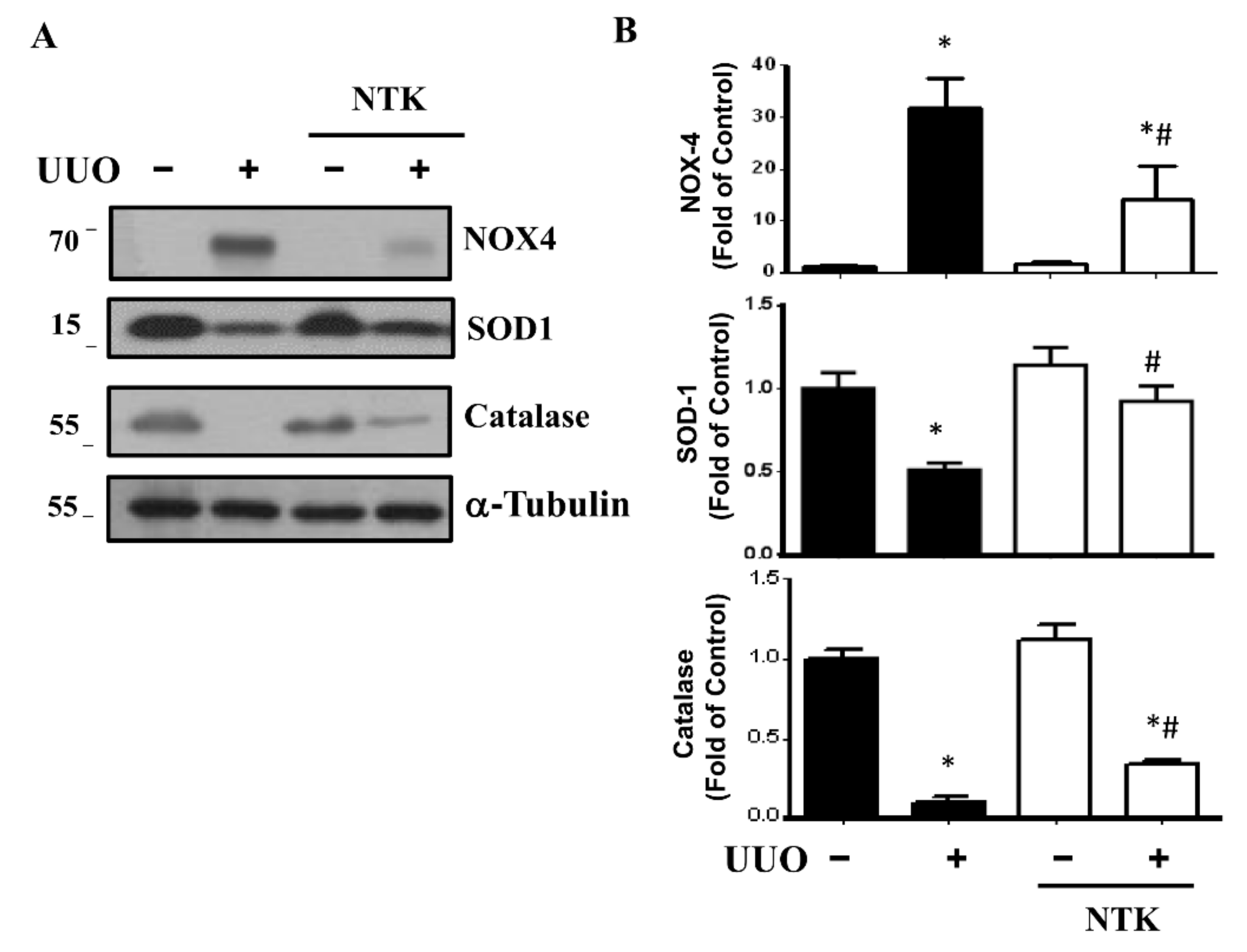 Nutrients 13 03921 g005 550